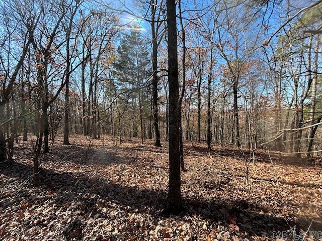   Bear Mountain  Greers Ferry, AR