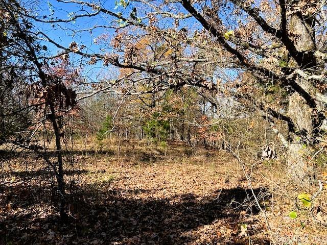   Bear Mountain  Greers Ferry, AR