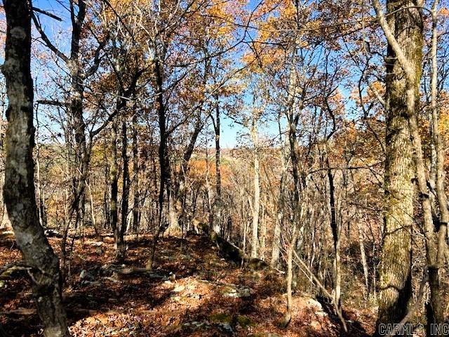   Bear Mountain  Greers Ferry, AR