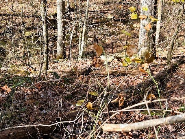   Bear Mountain  Greers Ferry, AR