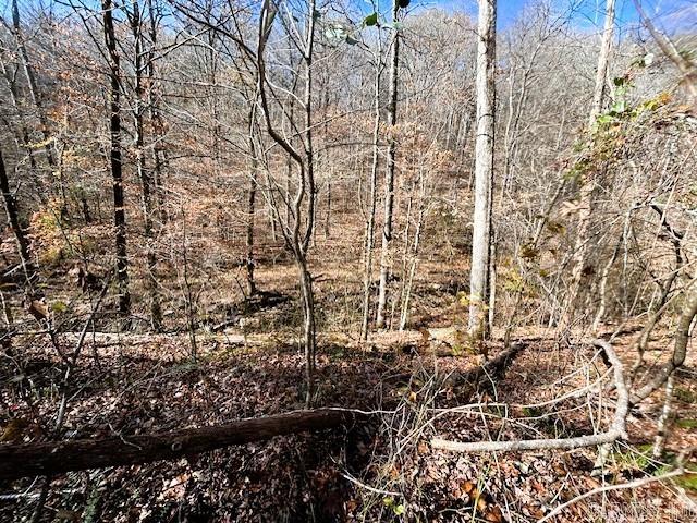   Bear Mountain  Greers Ferry, AR