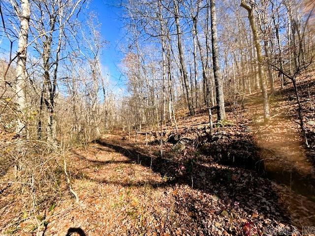   Bear Mountain  Greers Ferry, AR