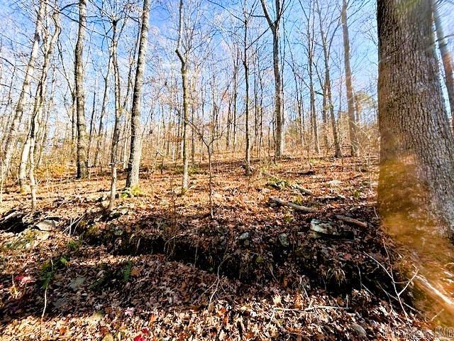   Bear Mountain  Greers Ferry, AR