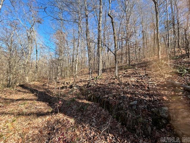   Bear Mountain  Greers Ferry, AR