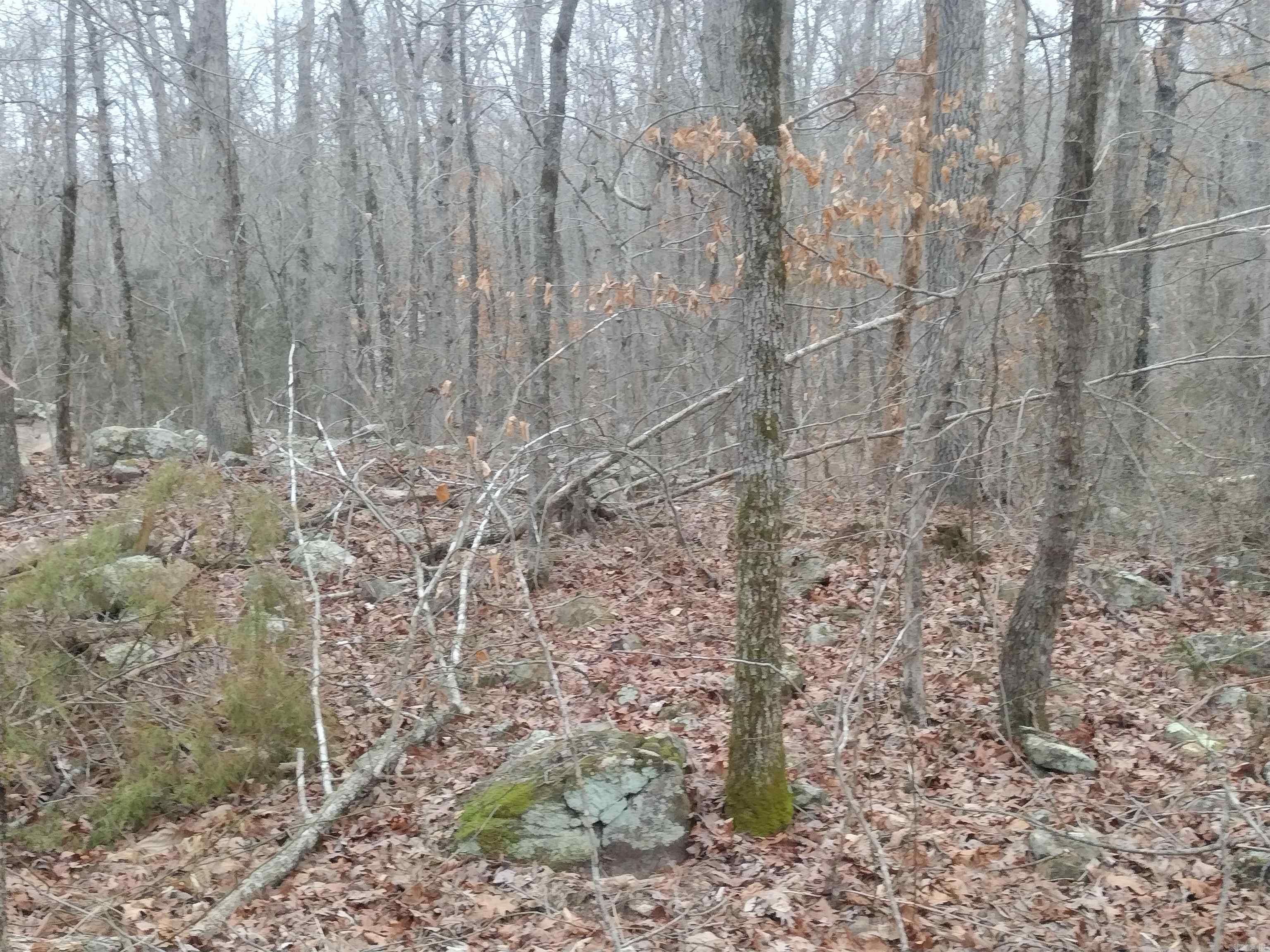 0  SugarHill RD  Mountain View, AR