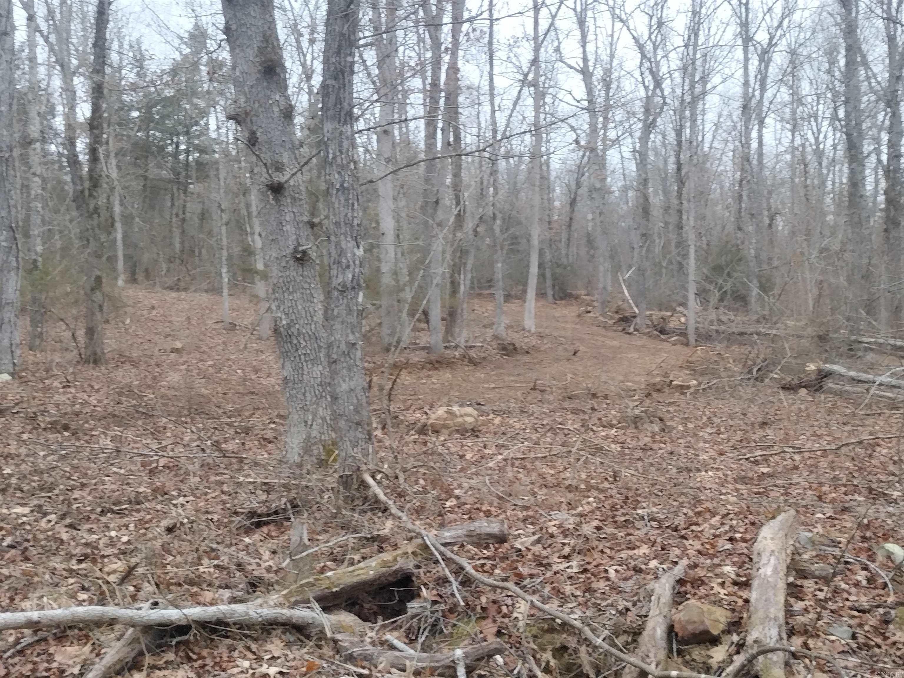 0  SugarHill RD  Mountain View, AR