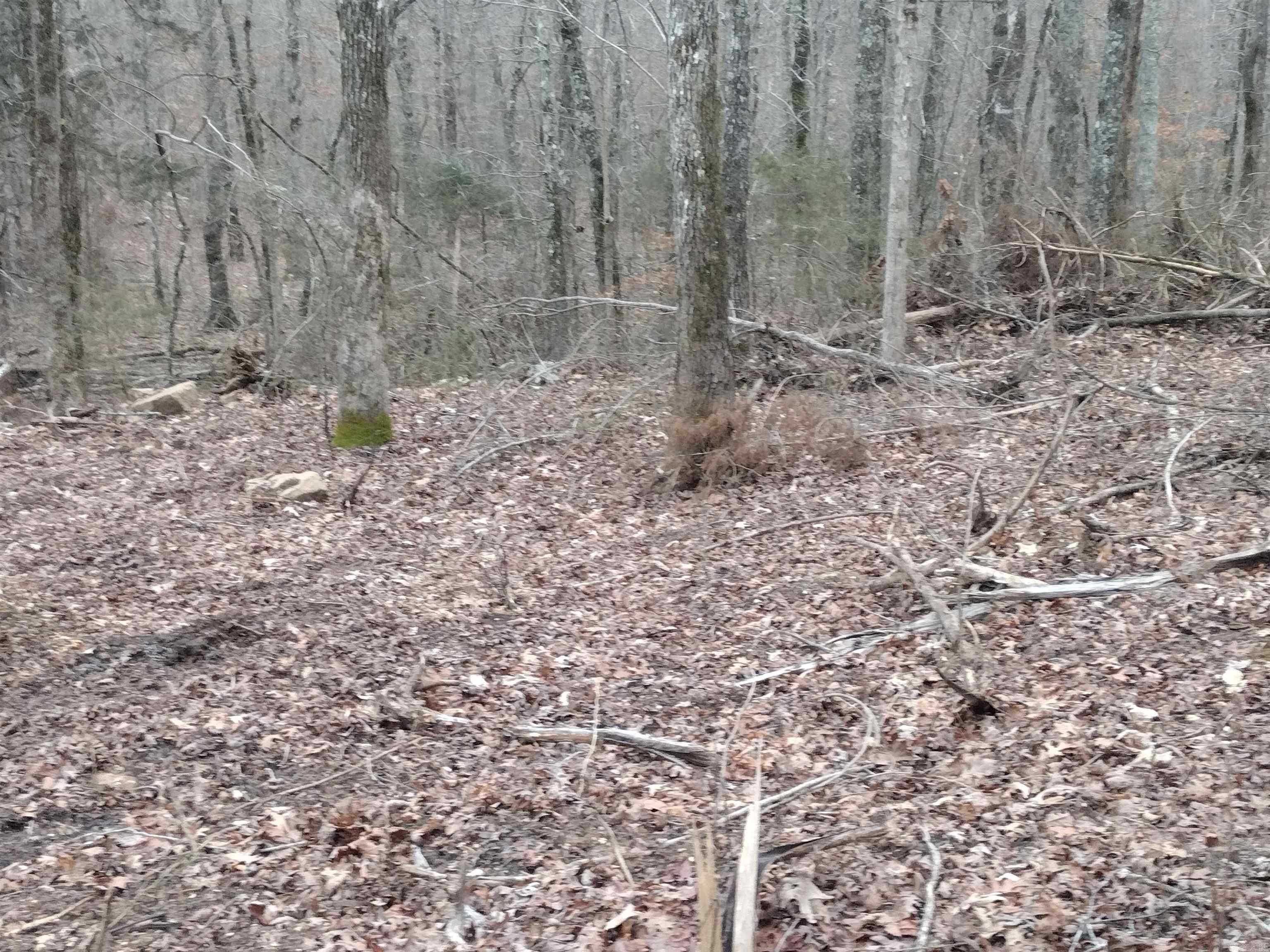 0  SugarHill RD  Mountain View, AR