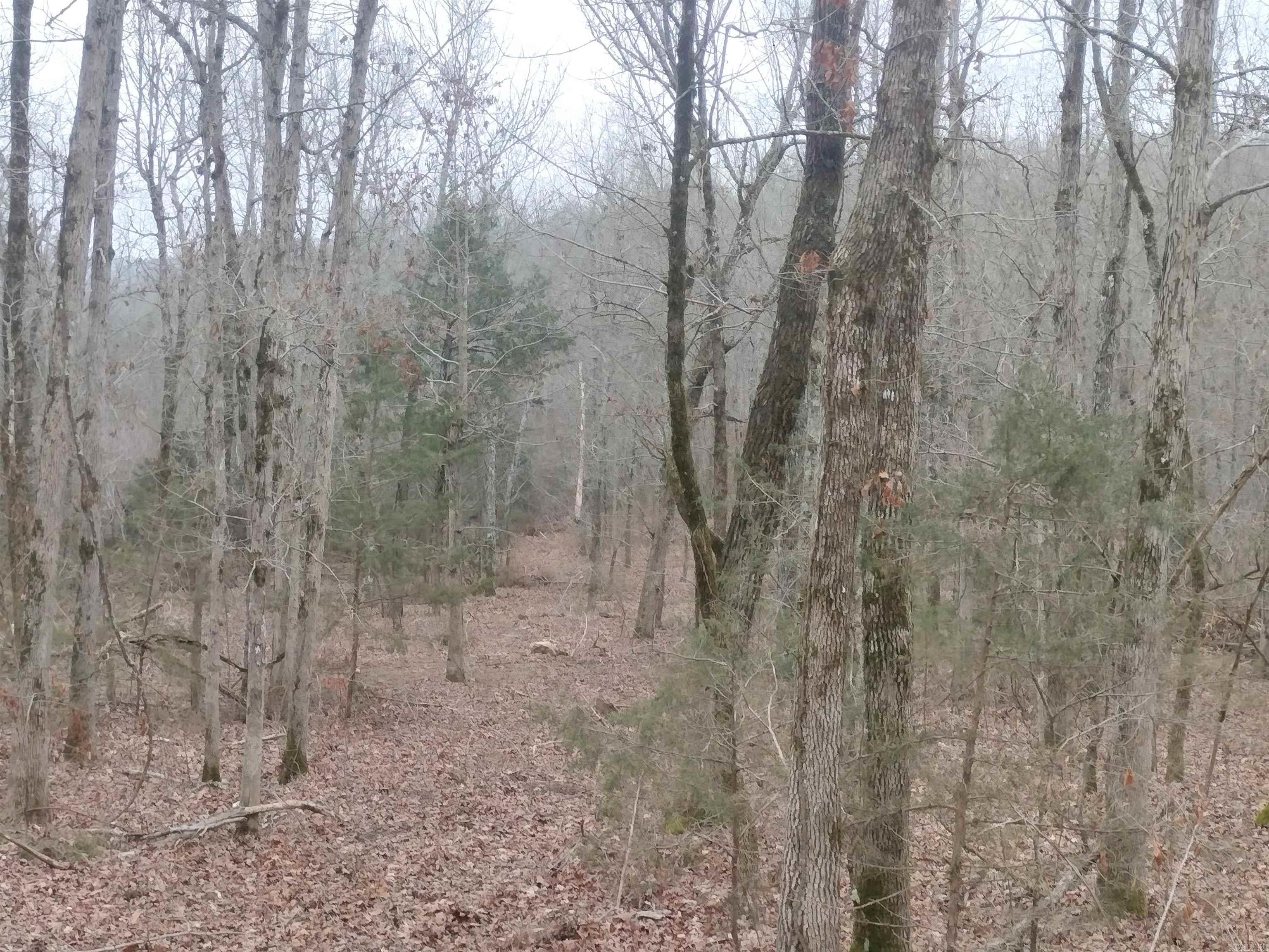 0  SugarHill RD  Mountain View, AR