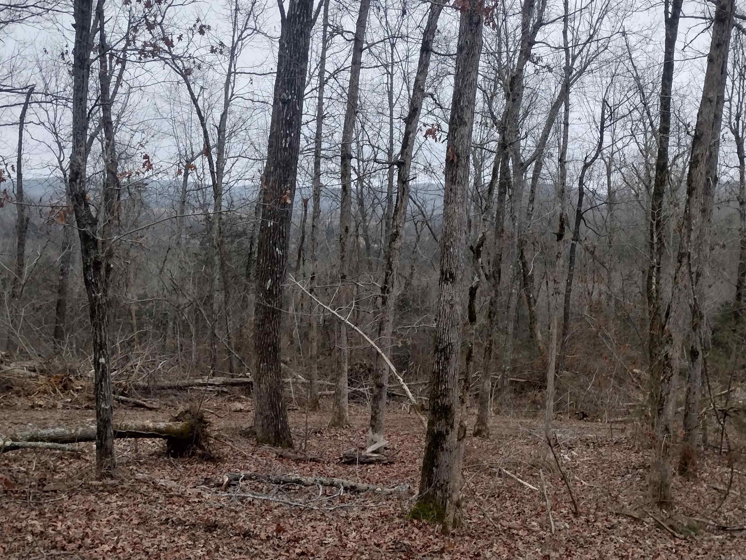 0  SugarHill RD  Mountain View, AR