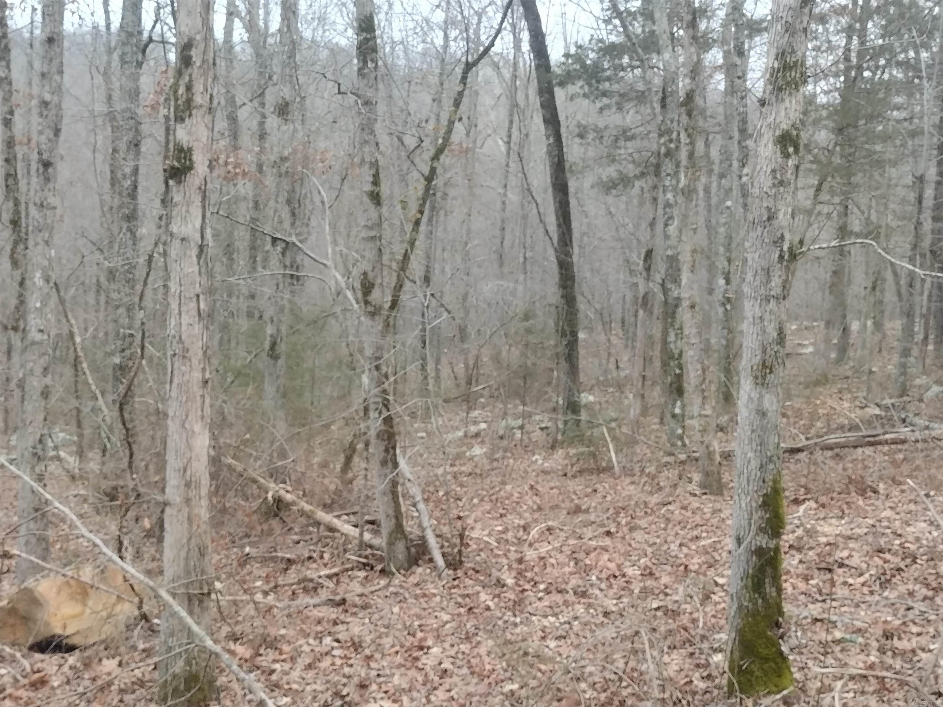 0  SugarHill RD  Mountain View, AR
