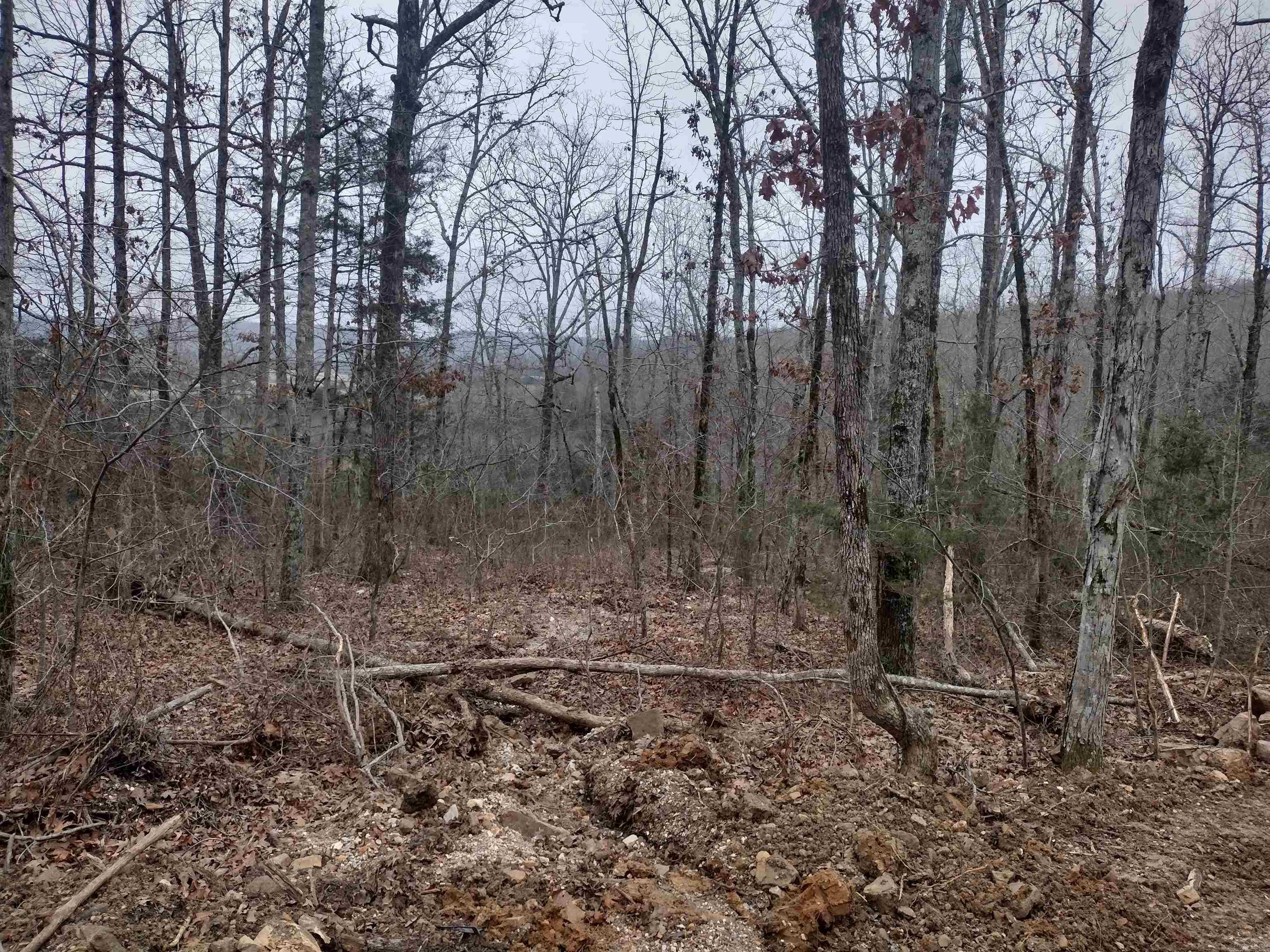 0  SugarHill RD  Mountain View, AR