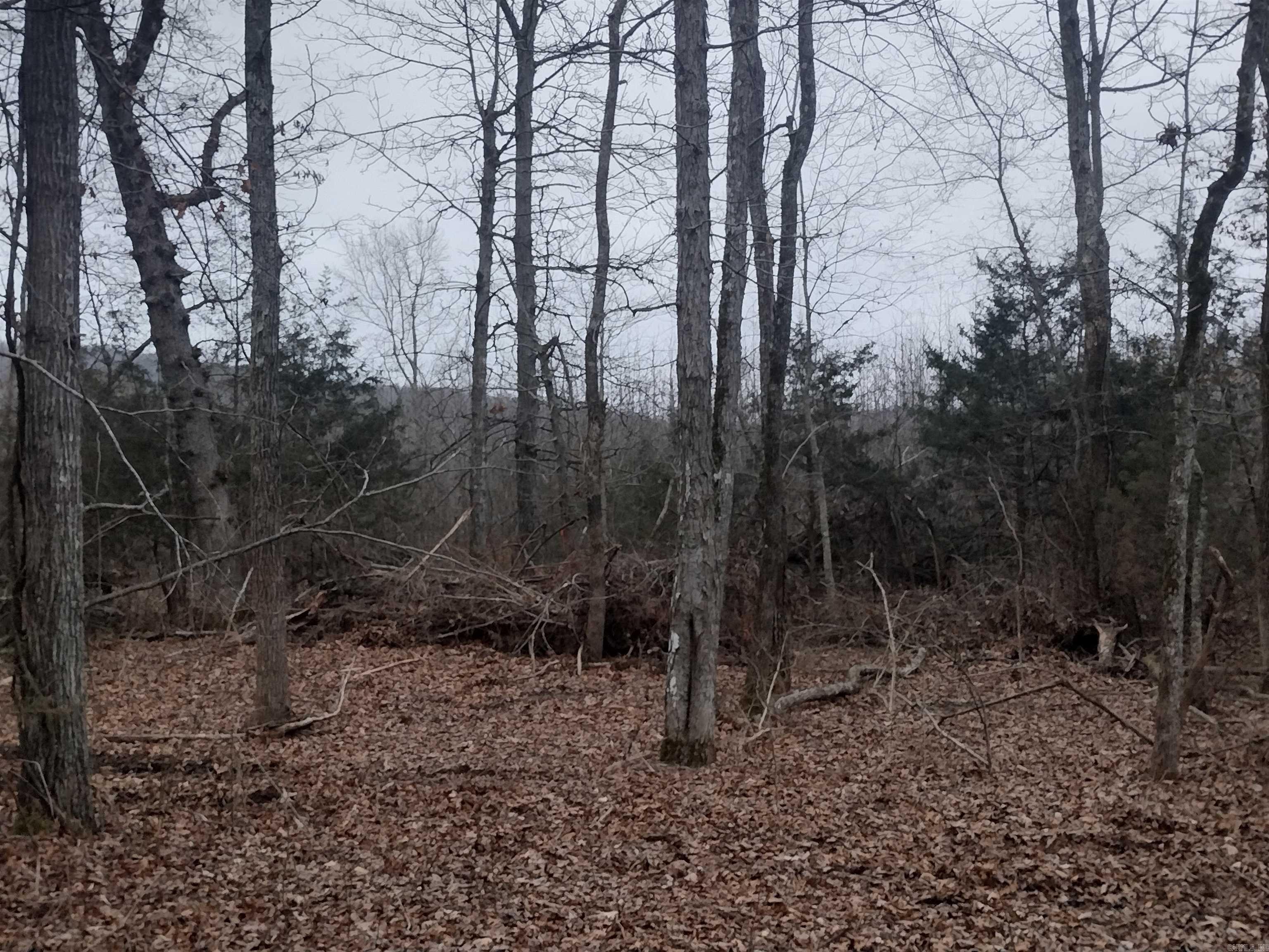 0  SugarHill RD  Mountain View, AR