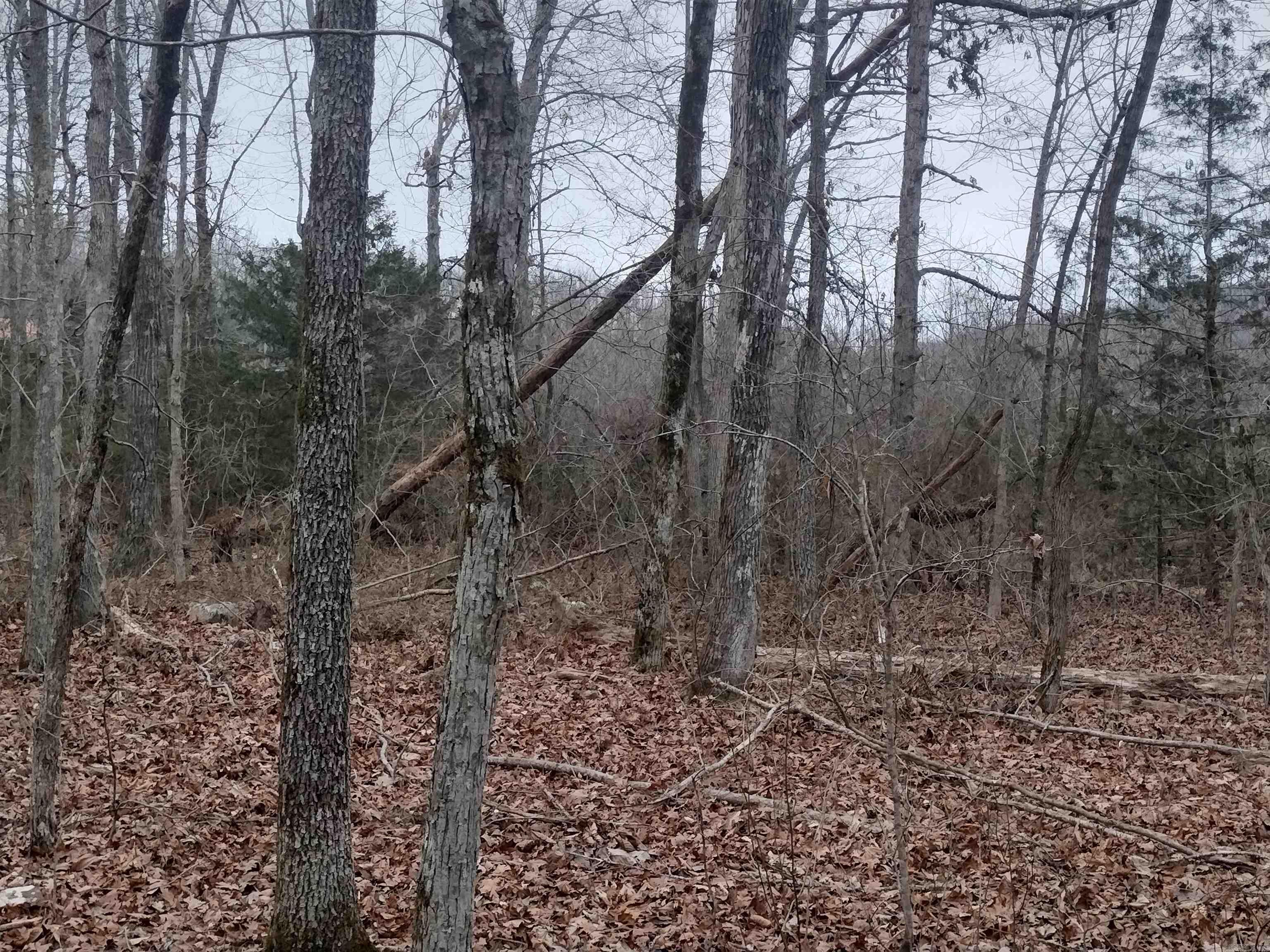 0  SugarHill RD  Mountain View, AR