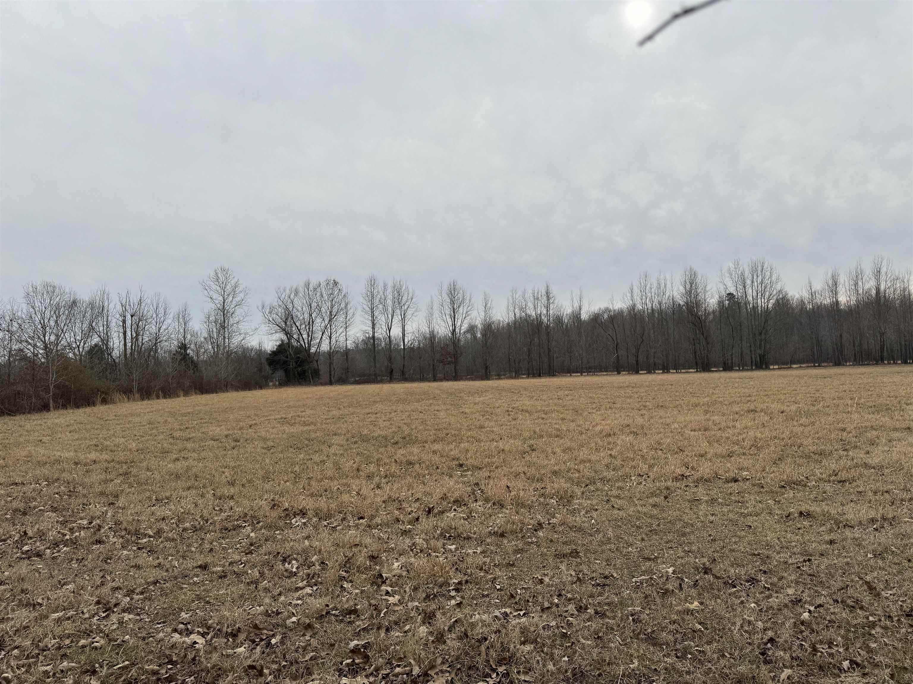 TBD  Greene 611 Rd  Paragould, AR