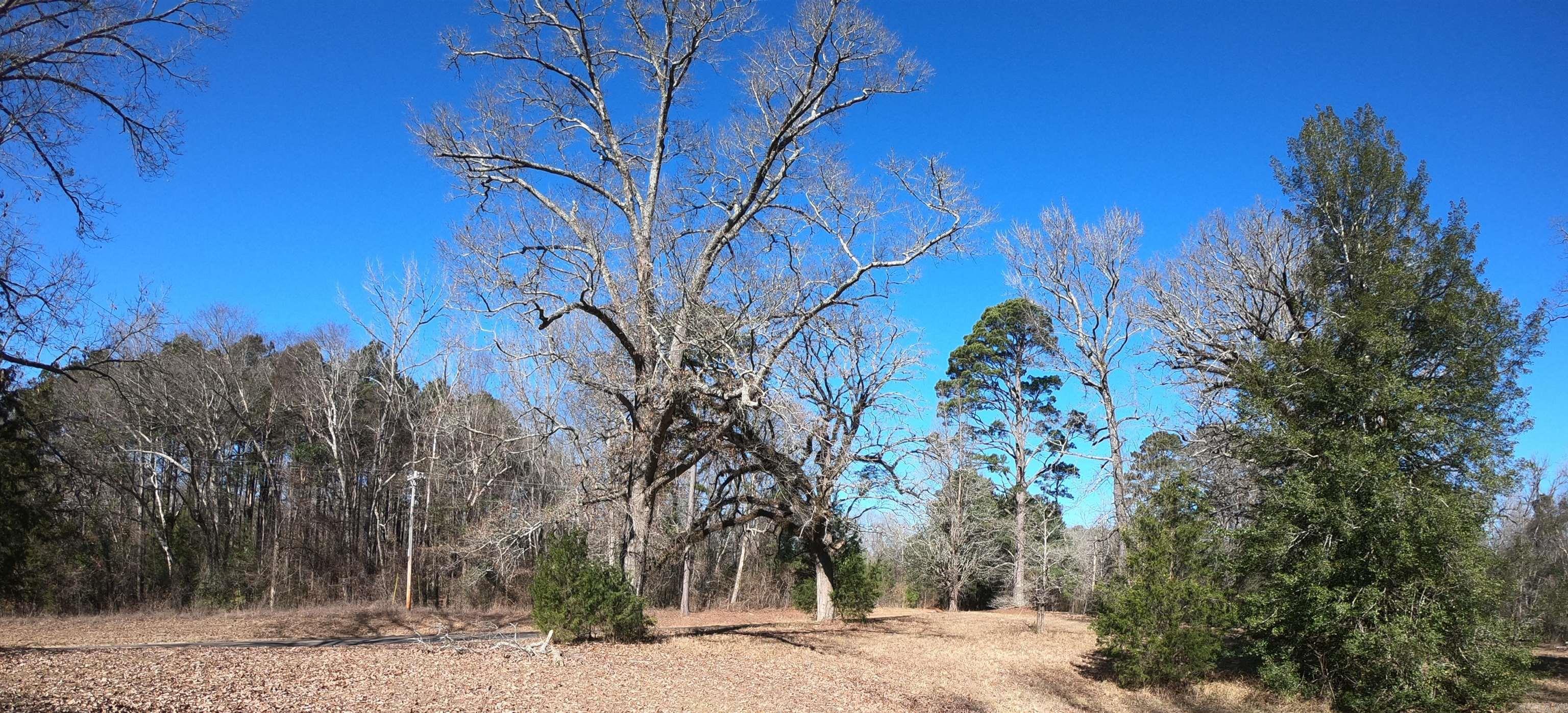 318  Central  Arkadelphia, AR