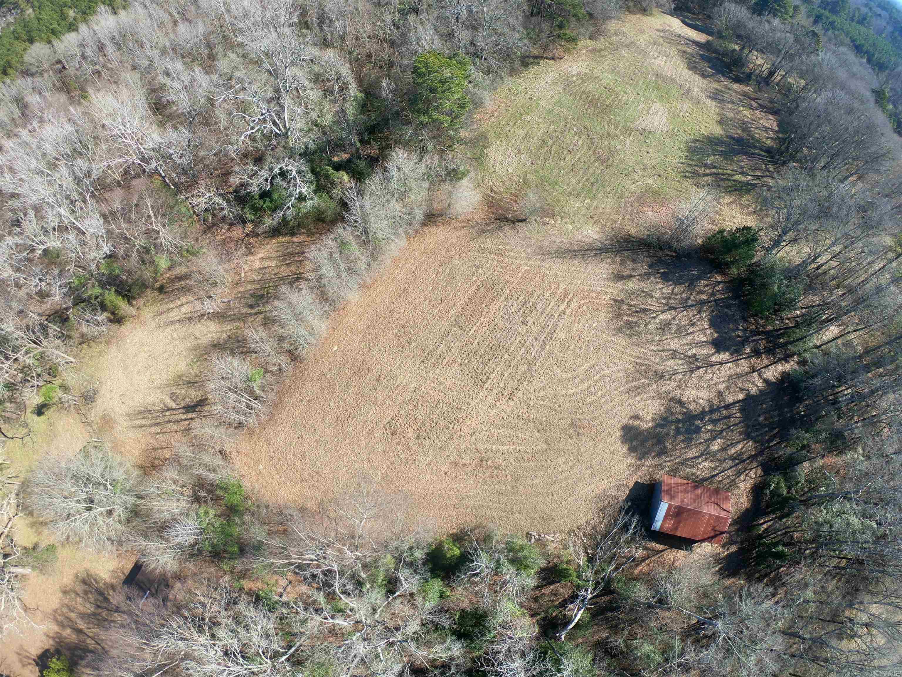 318  Central  Arkadelphia, AR