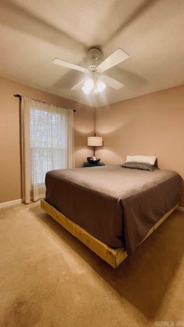 317  Katherine  Conway, AR