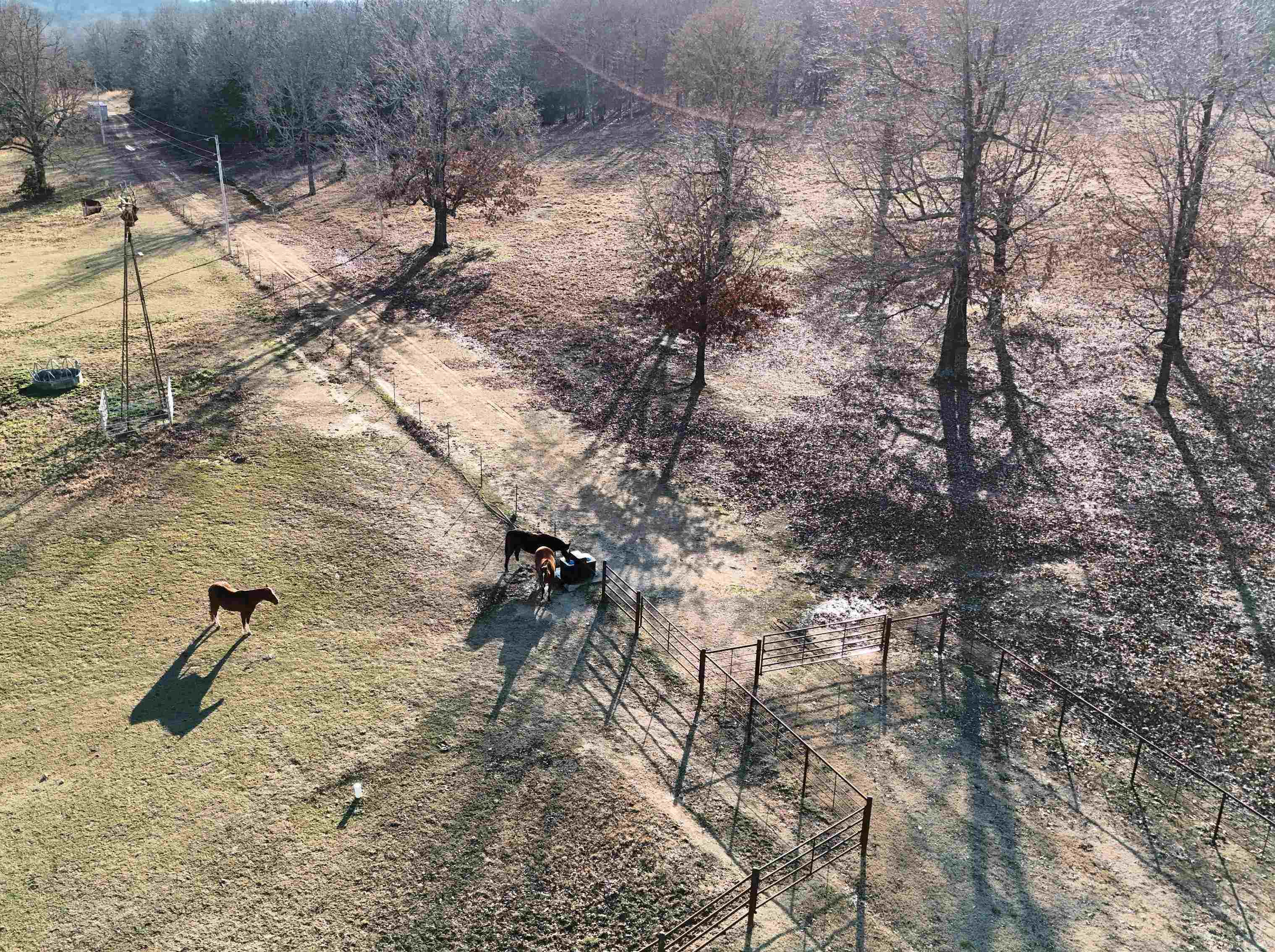8041  Hwy 62/412 East  Glencoe, AR