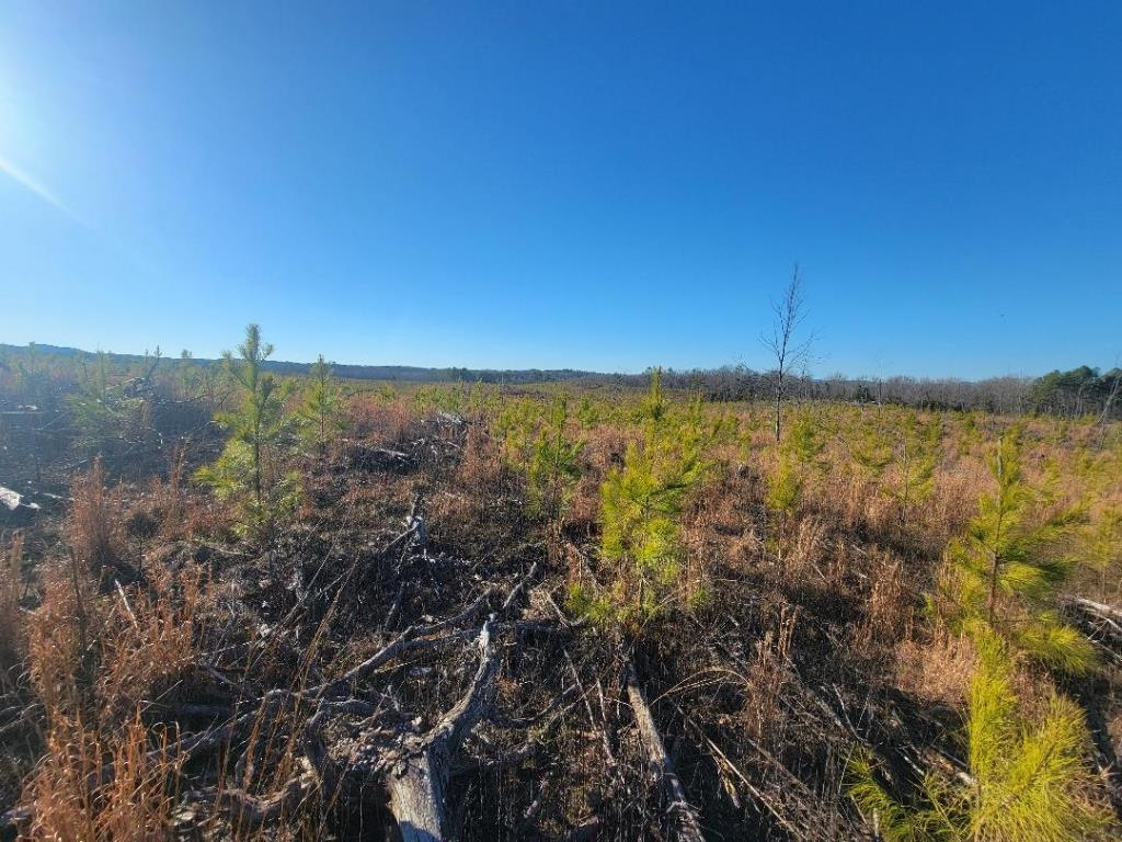 TBD  Goodeaux  Lonsdale, AR