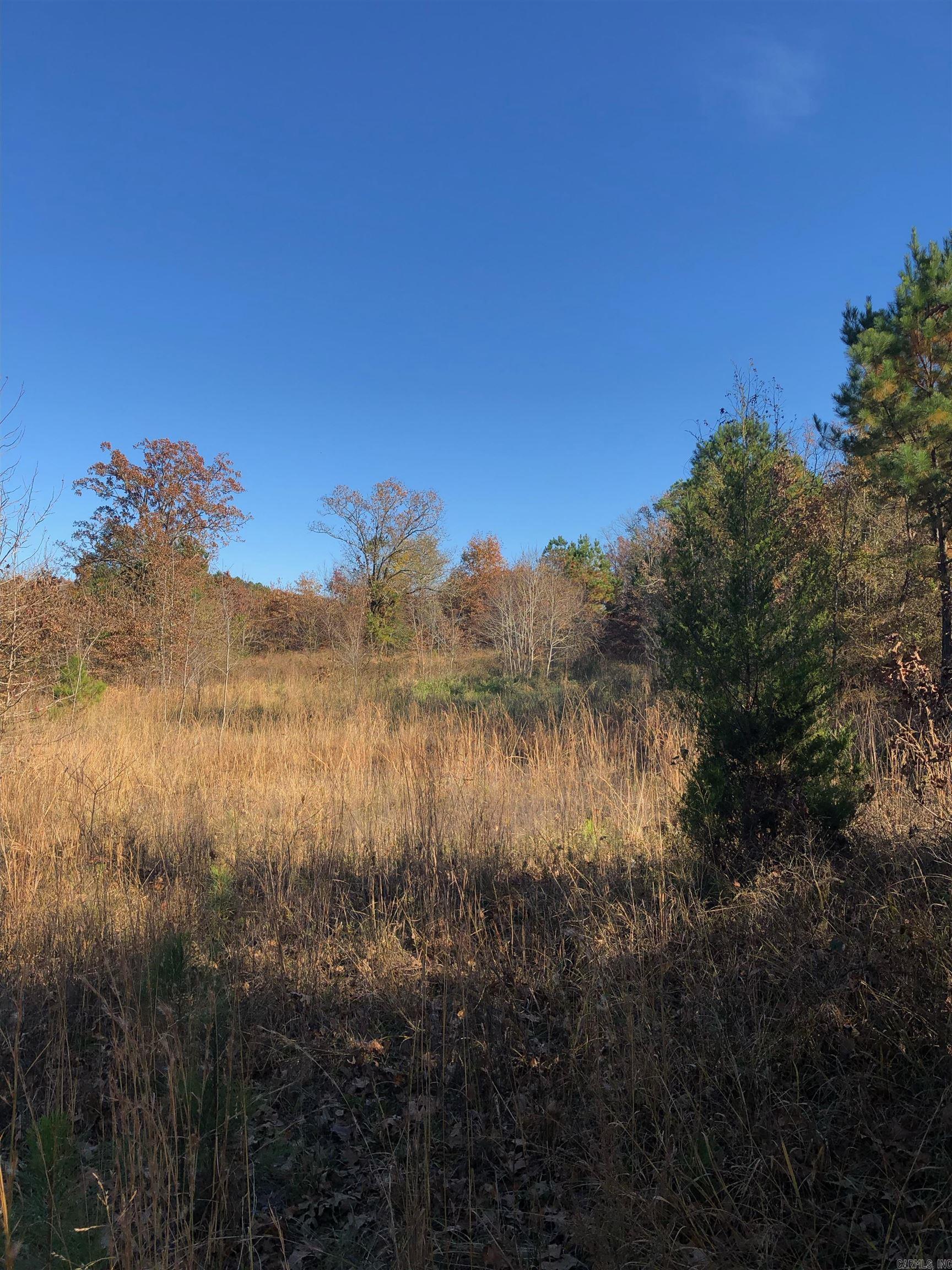 tbd  Hwy 301  Murfreesboro, AR