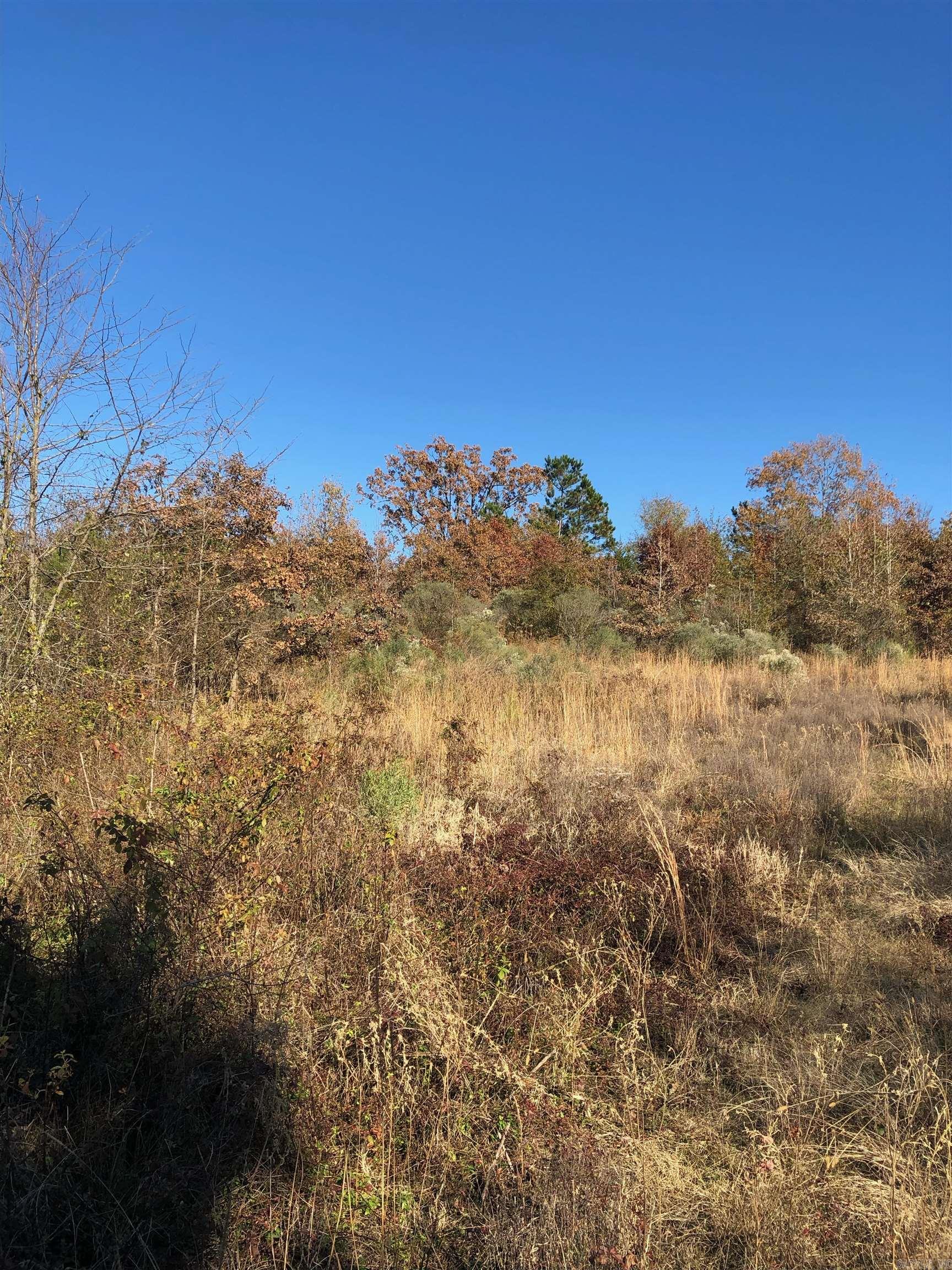 tbd  Hwy 301  Murfreesboro, AR