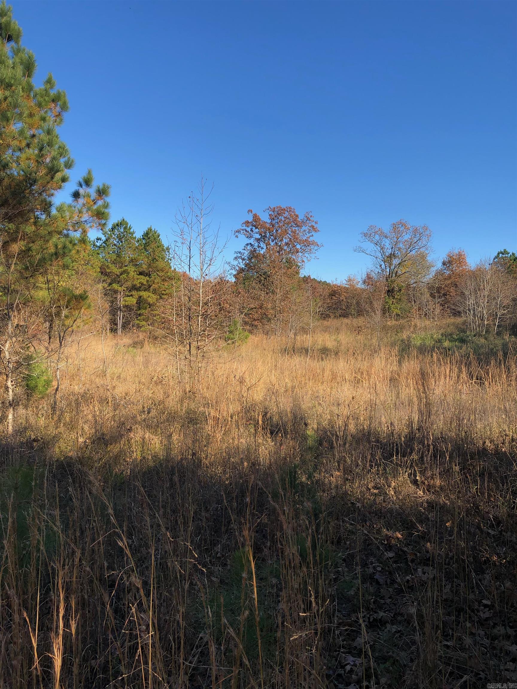 tbd  Hwy 301  Murfreesboro, AR