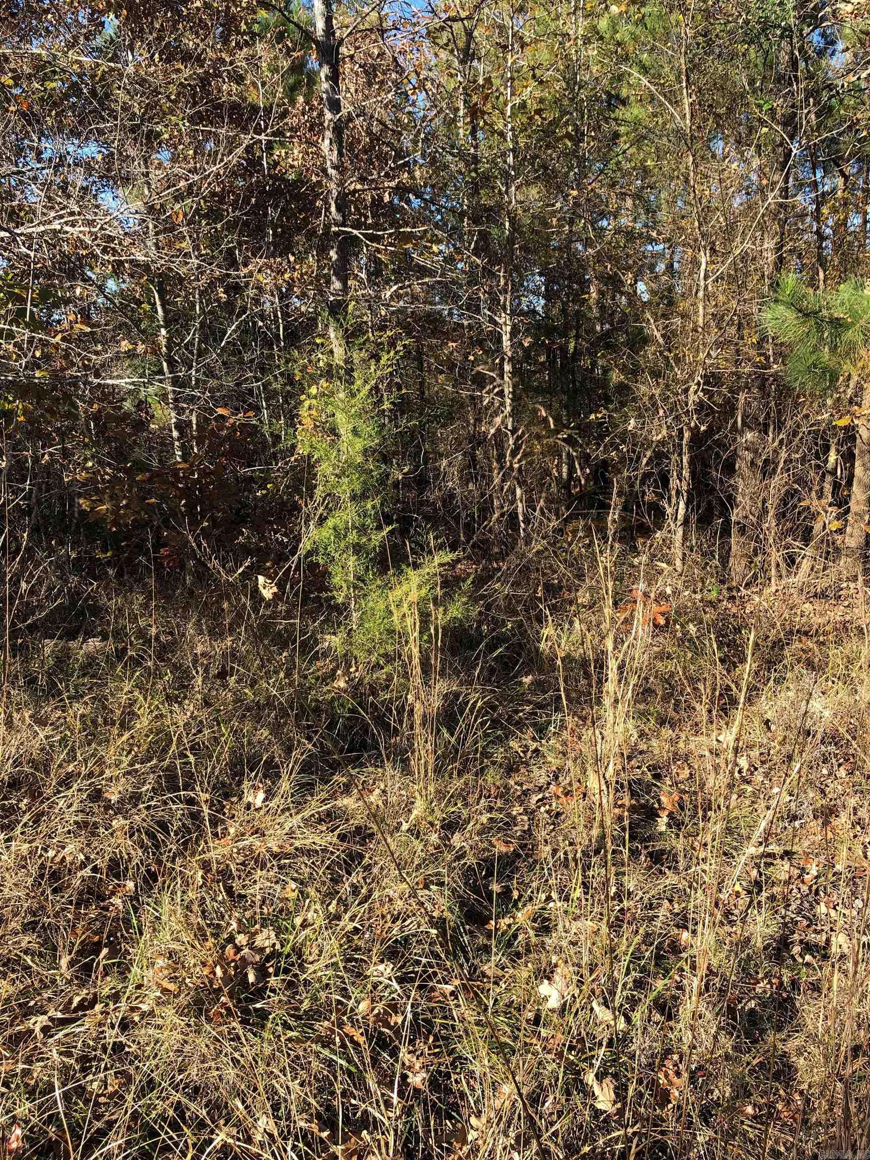 tbd  Hwy 301  Murfreesboro, AR