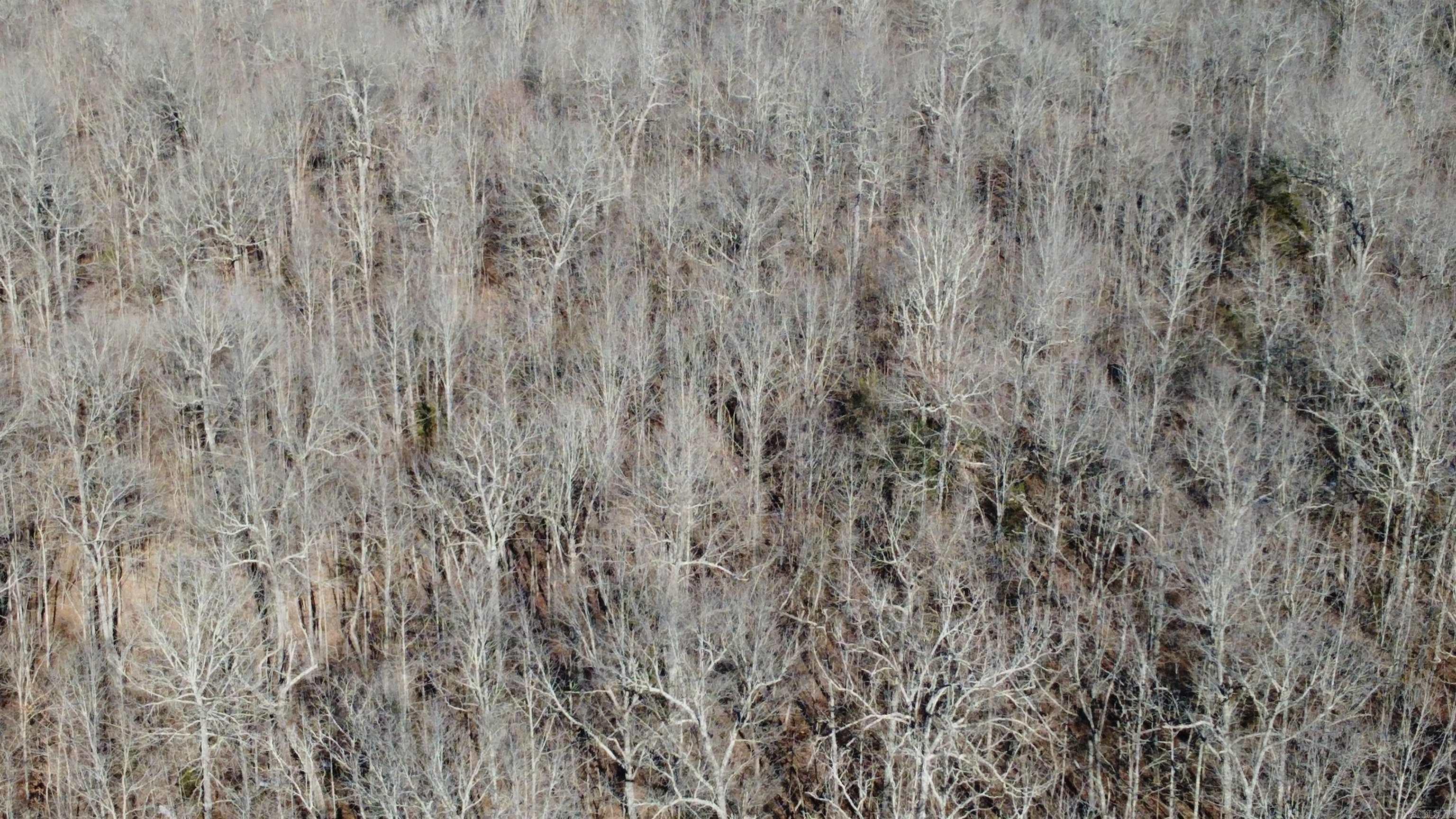   Hwy 289 South  Horseshoe Bend, AR