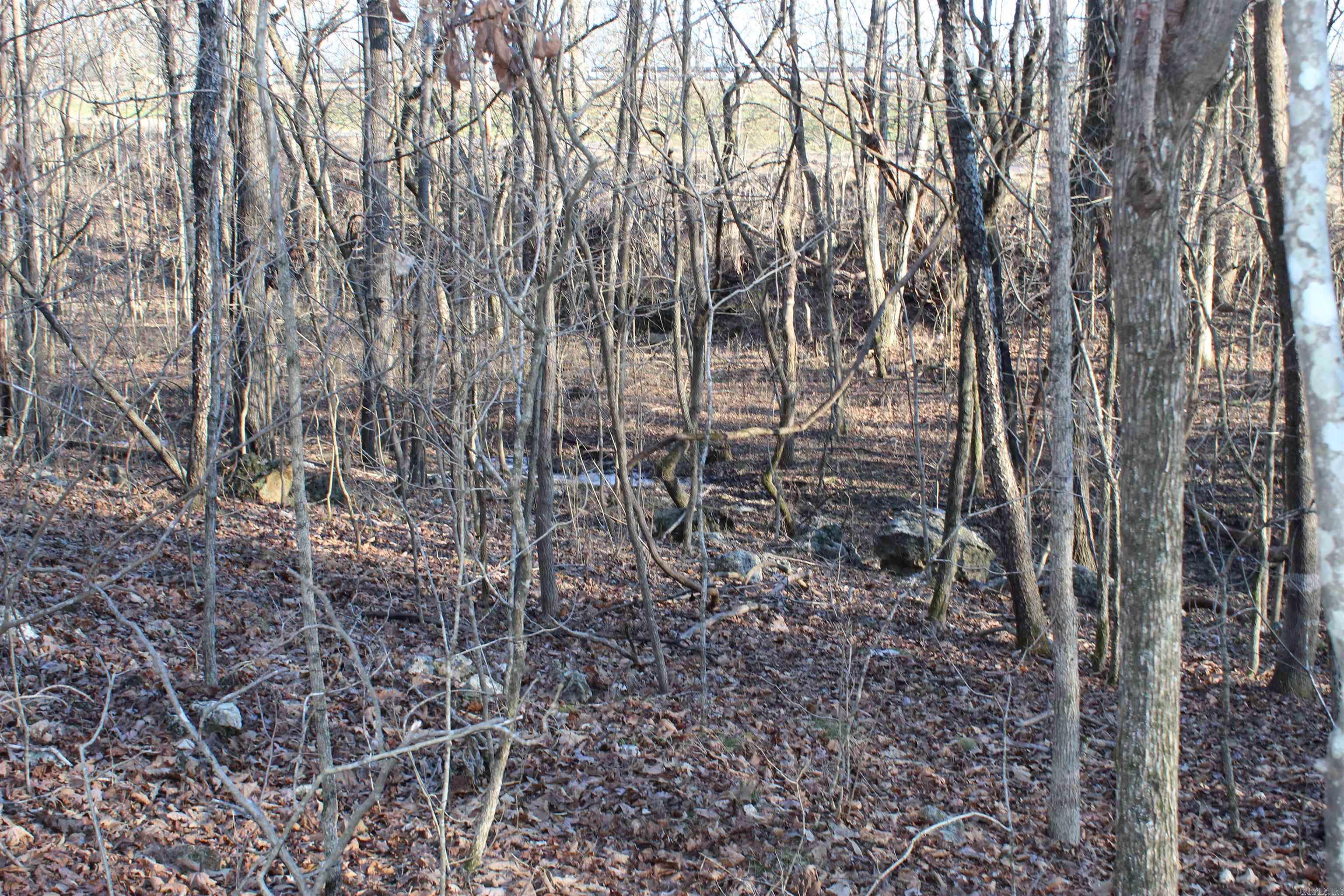   Hwy 289 South  Horseshoe Bend, AR