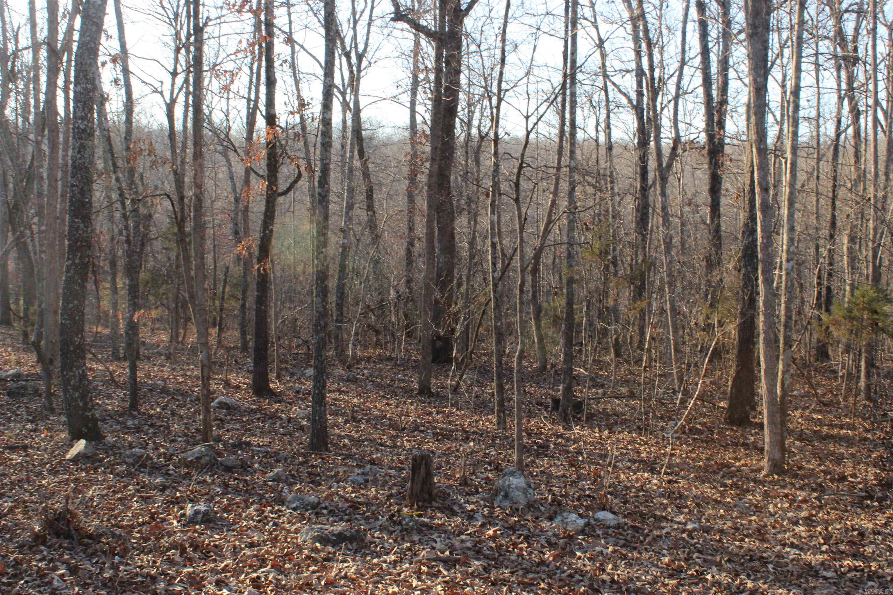   Hwy 289 South  Horseshoe Bend, AR