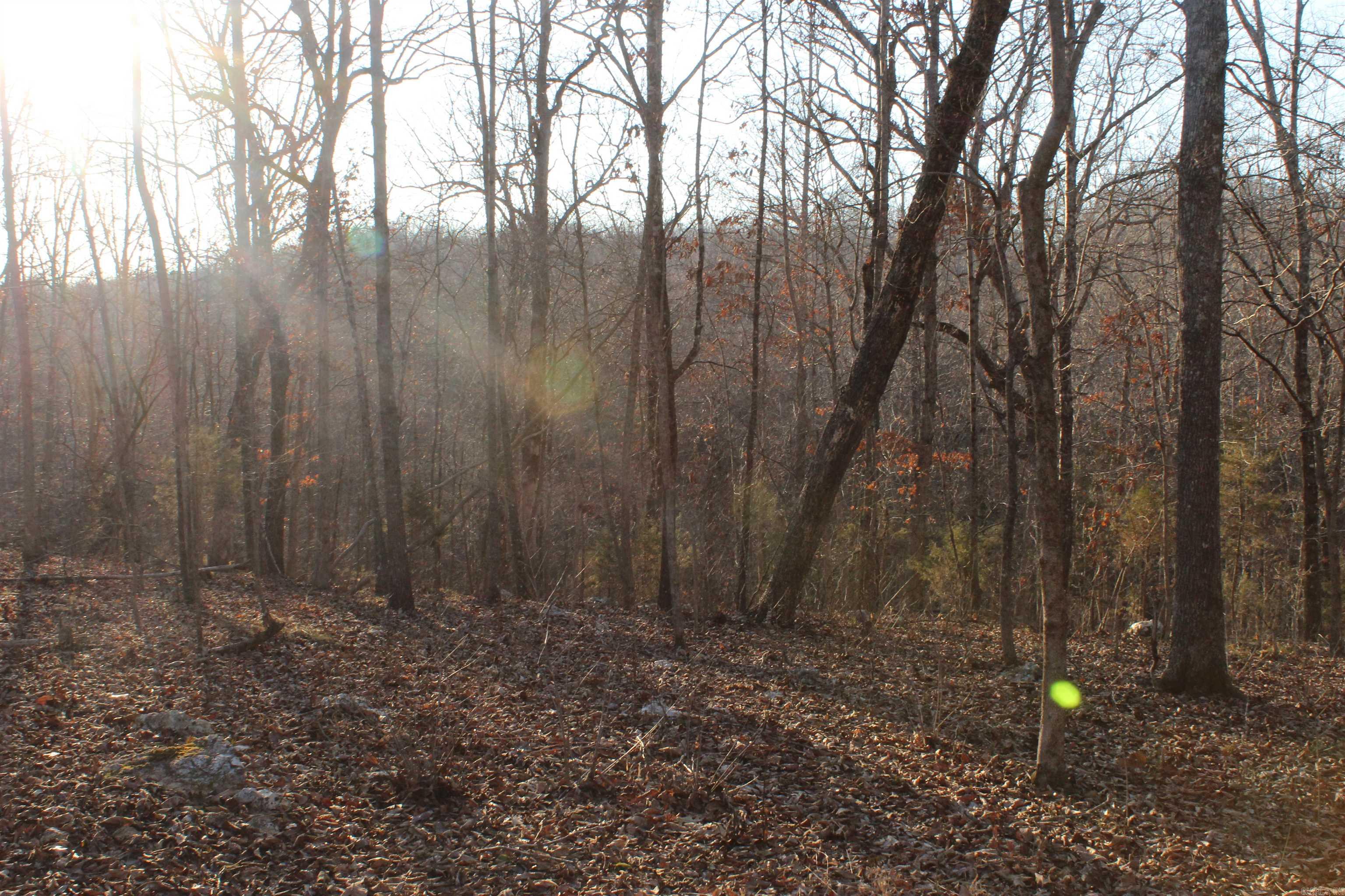   Hwy 289 South  Horseshoe Bend, AR