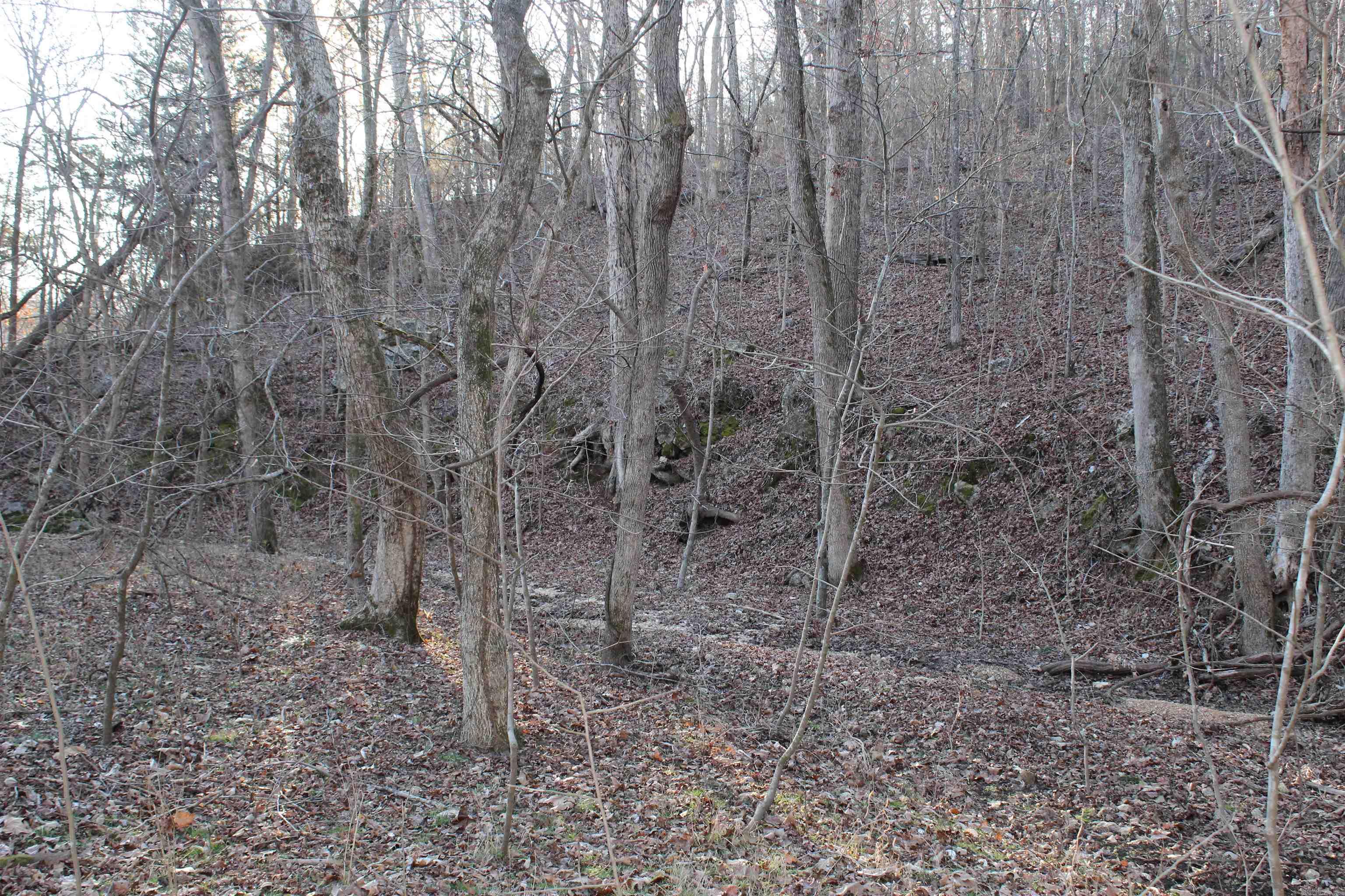   Hwy 289 South  Horseshoe Bend, AR
