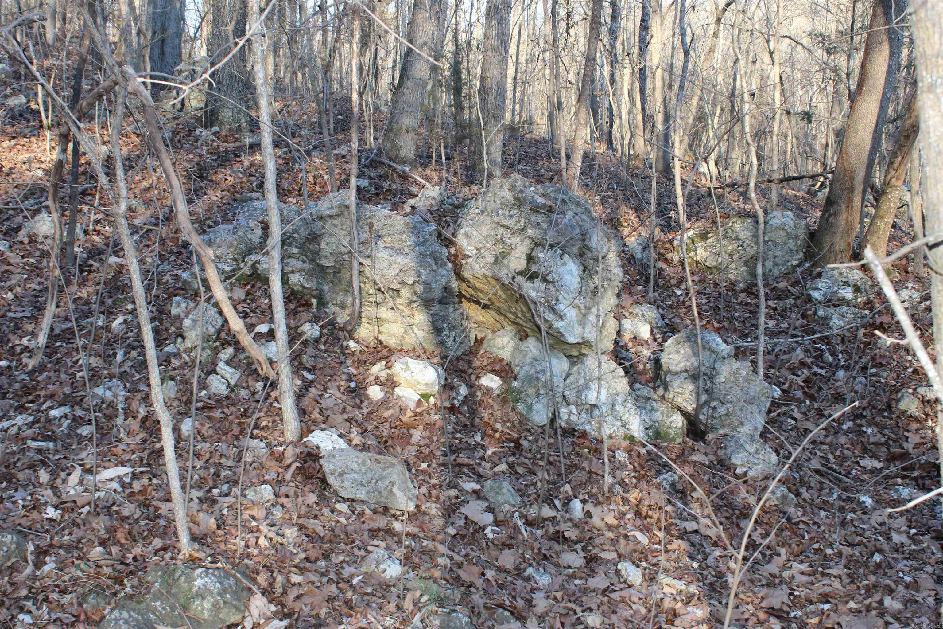   Hwy 289 South  Horseshoe Bend, AR