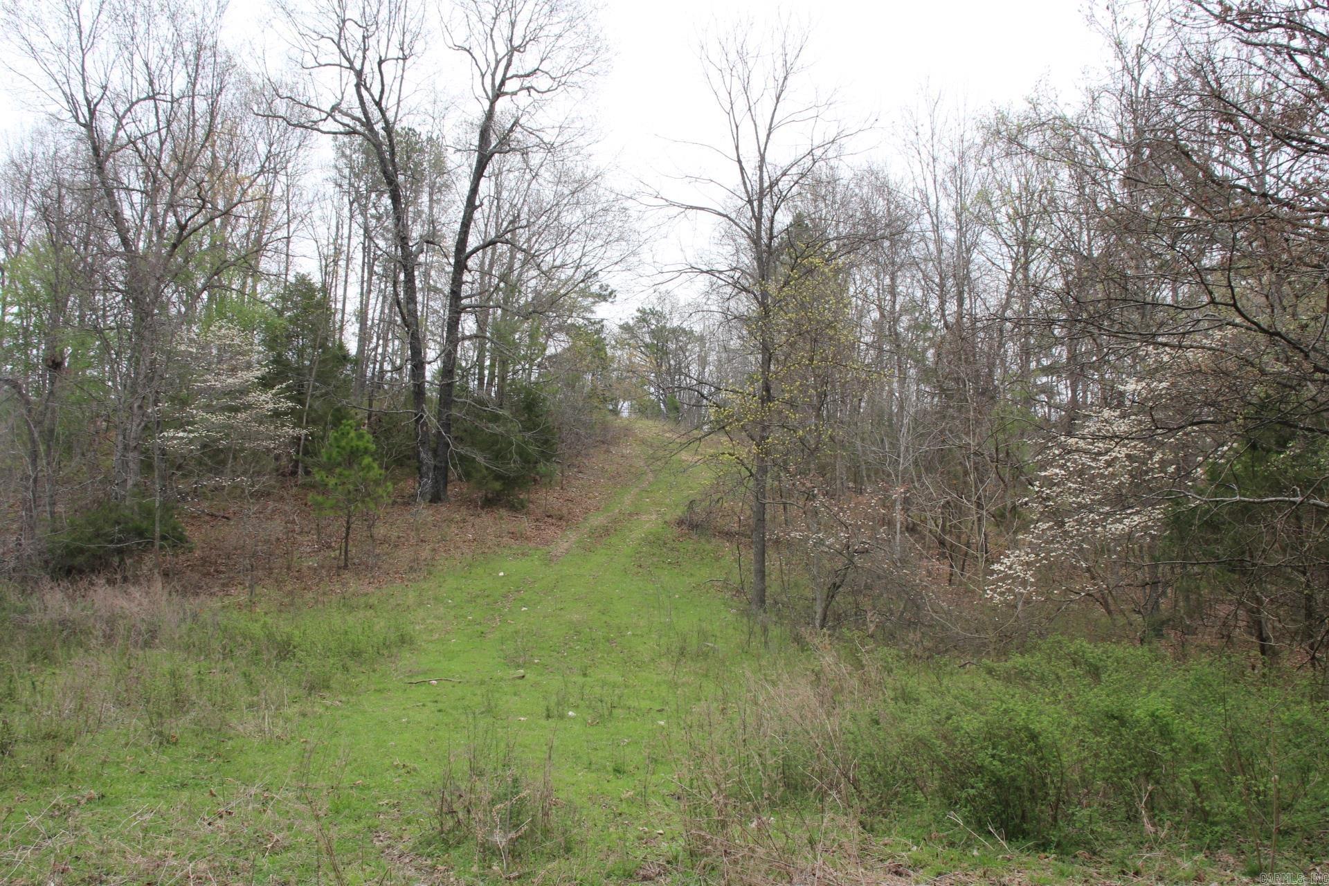 001-08184-000 N Hwy 125  Yellville, AR