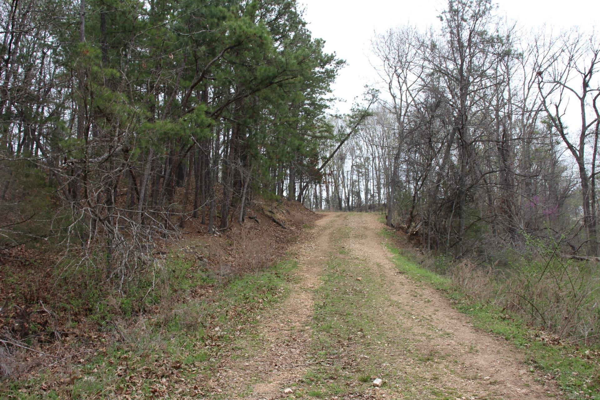 001-08184-000 N Hwy 125  Yellville, AR