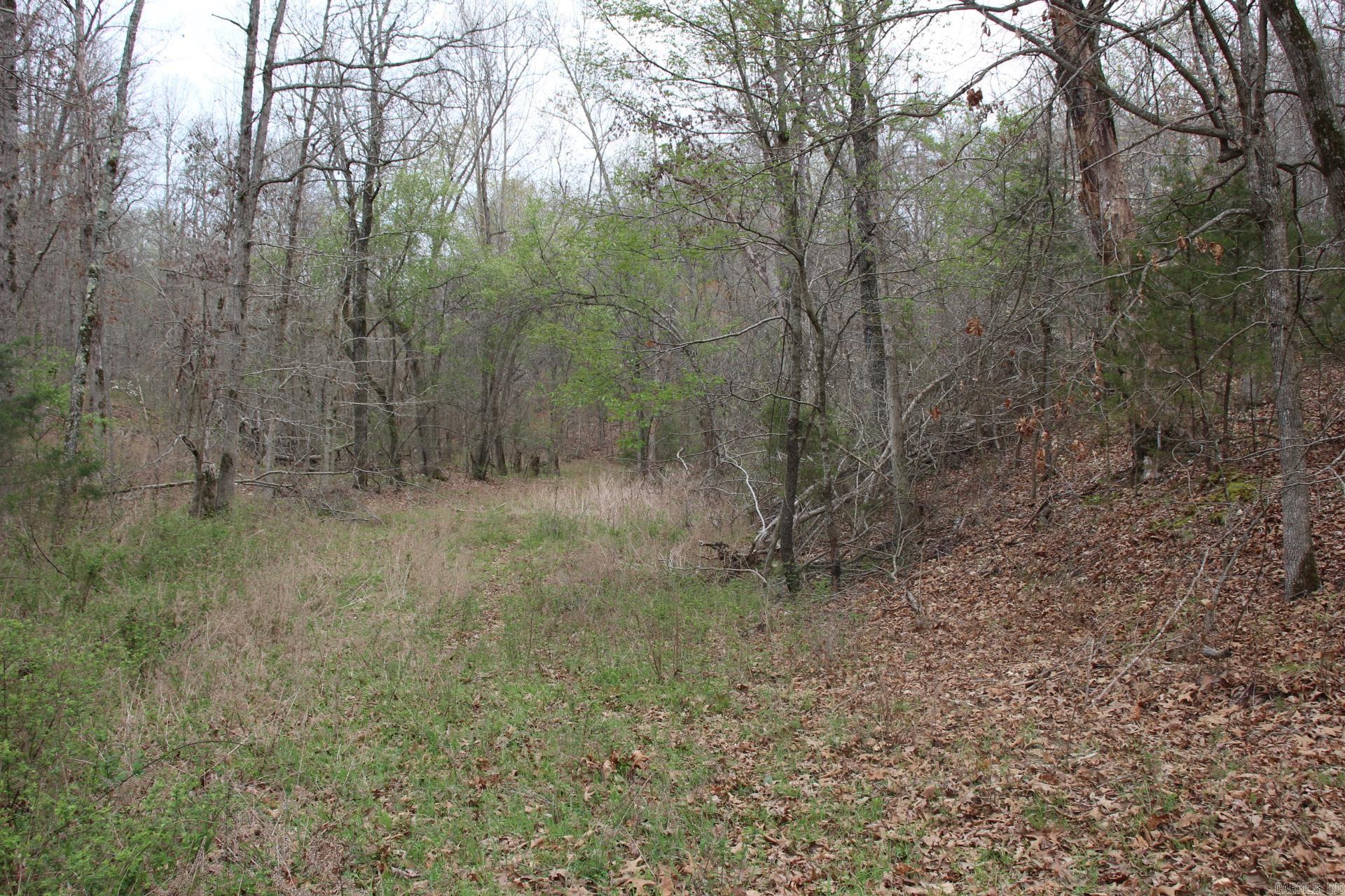 001-08184-000 N Hwy 125  Yellville, AR