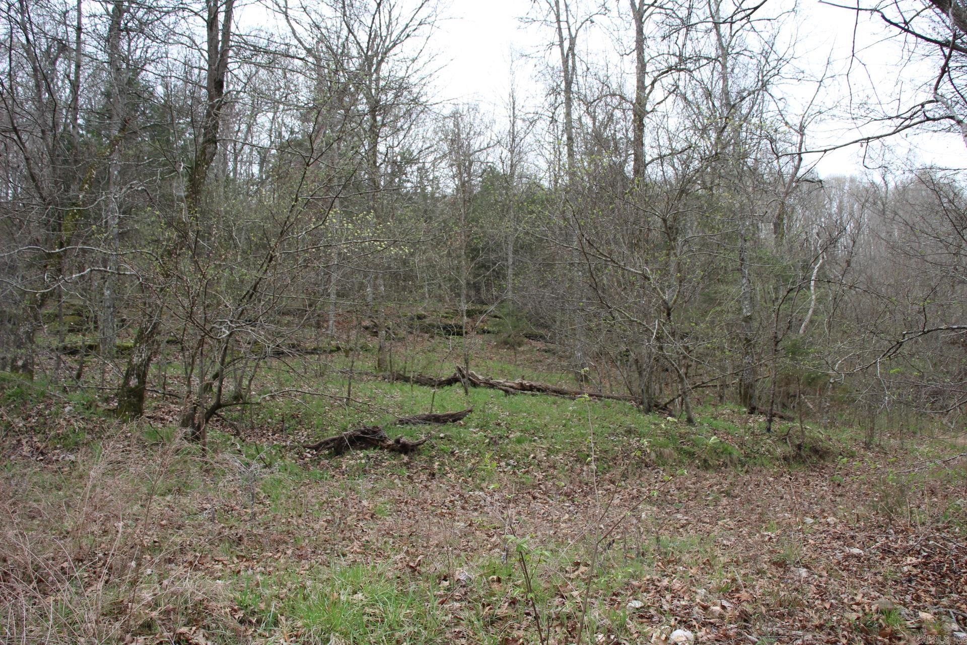001-08184-000 N Hwy 125  Yellville, AR