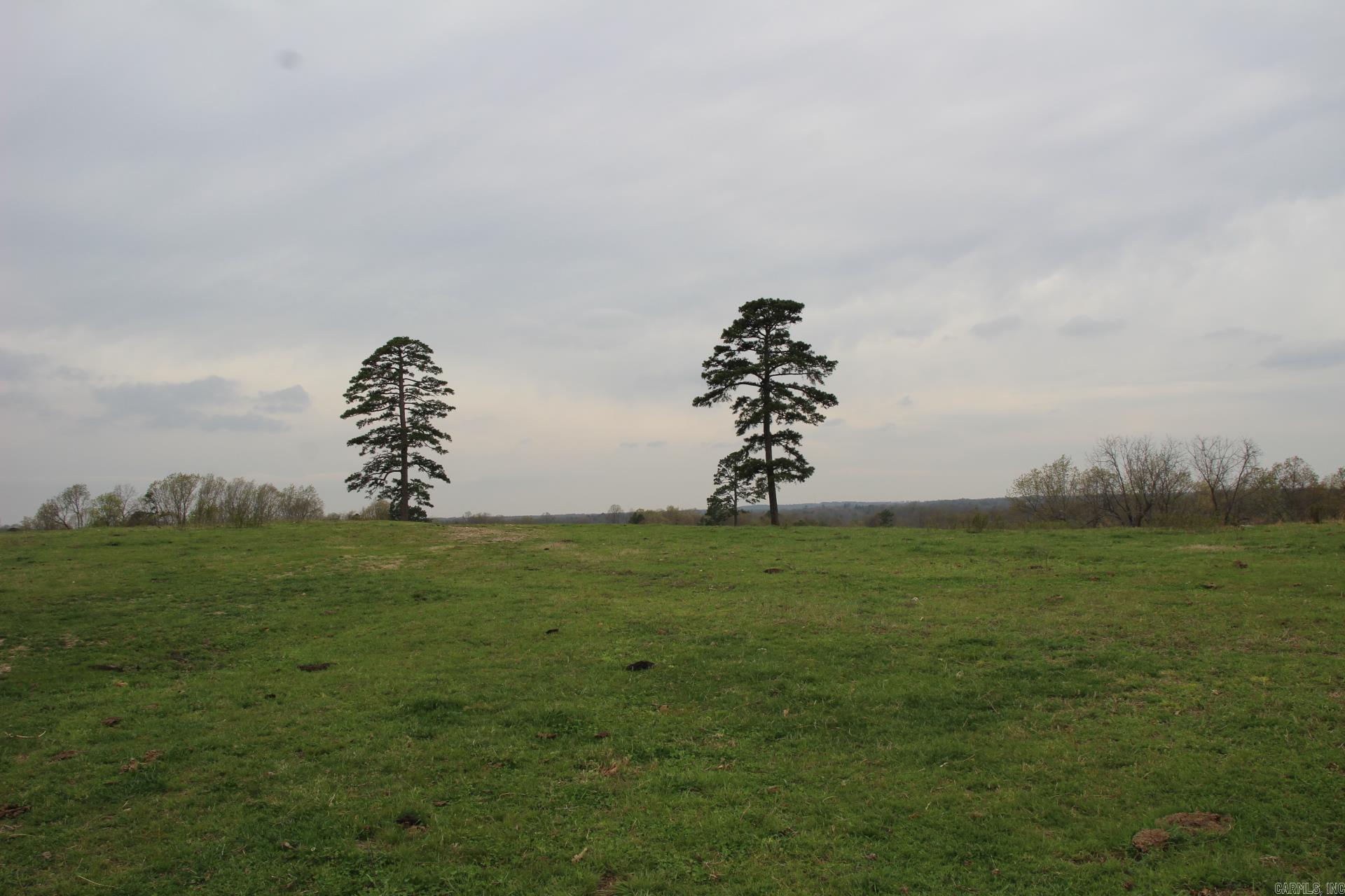 001-08184-000 N Hwy 125  Yellville, AR