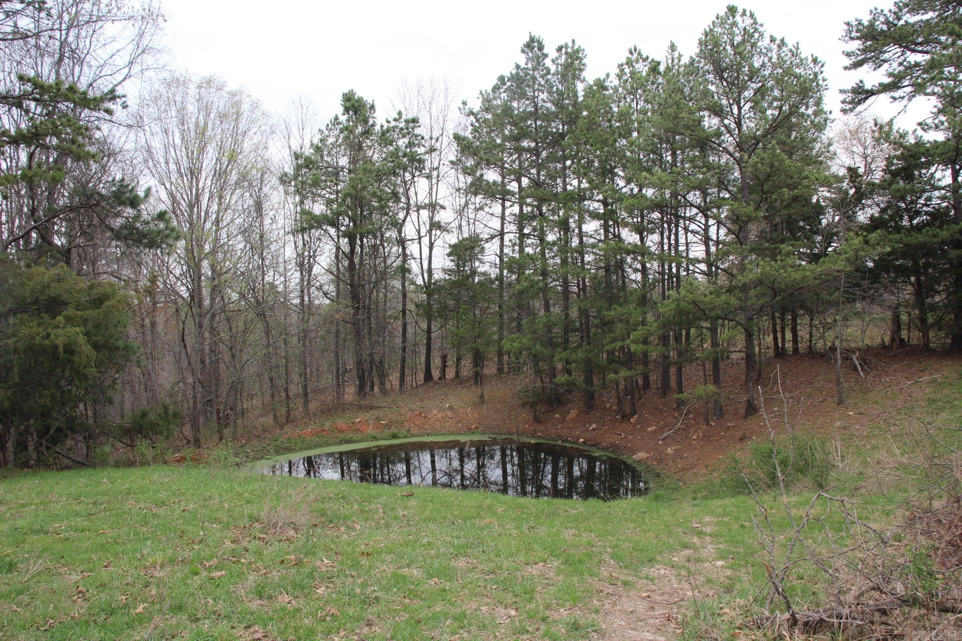 001-08184-000 N Hwy 125  Yellville, AR