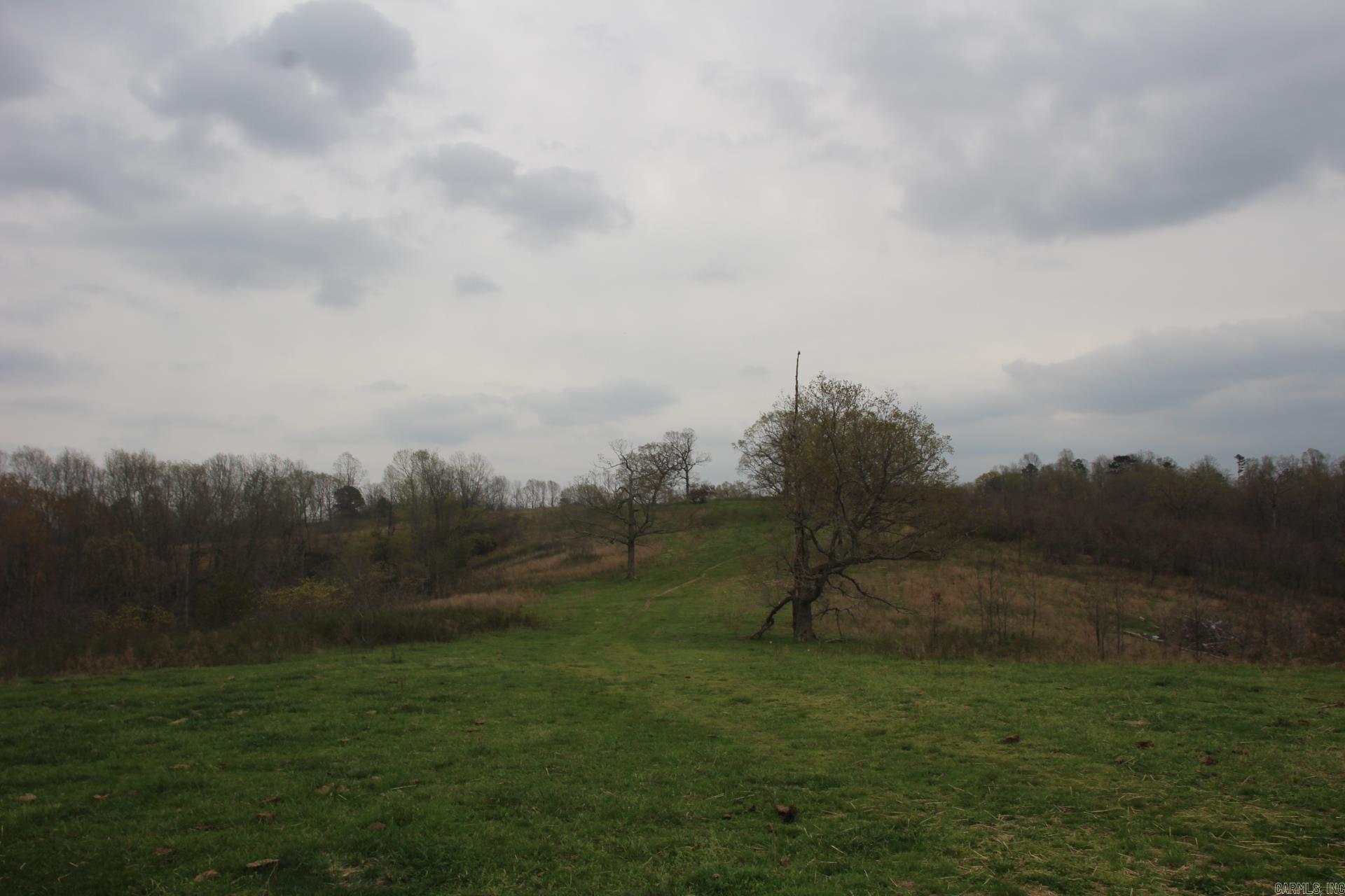 001-08184-000 N Hwy 125  Yellville, AR