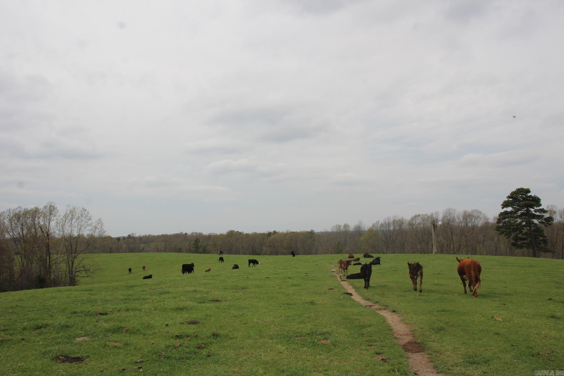 Tract 2 N Hwy 125  Yellville, AR