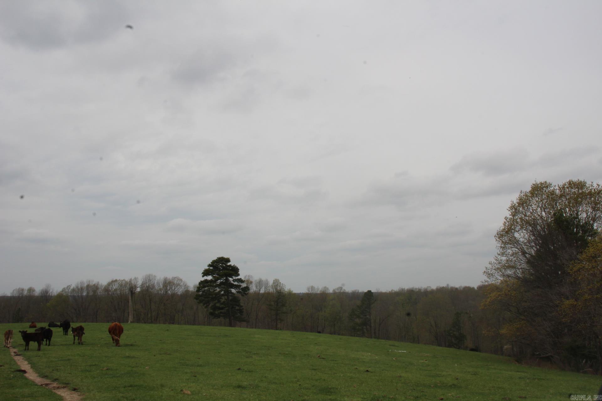 Tract 2 N Hwy 125  Yellville, AR