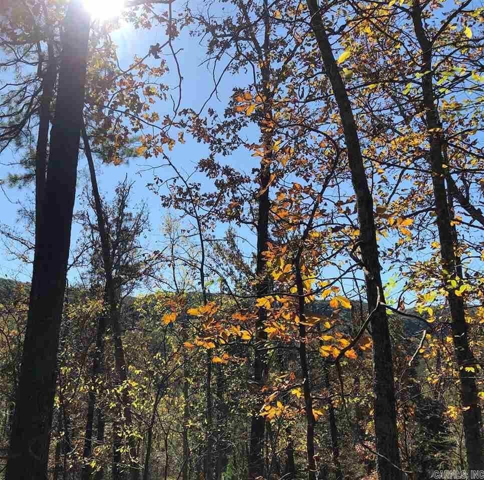 Lot 34  Primrose Creek  Heber Springs, AR