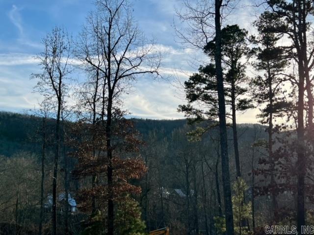 Lot 34  Primrose Creek  Heber Springs, AR