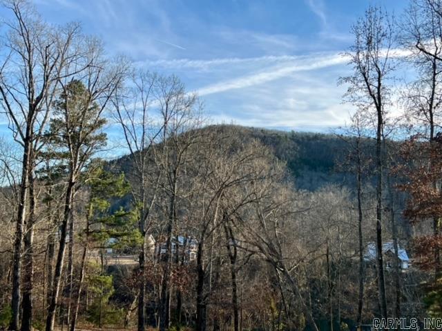 Lot 34  Primrose Creek  Heber Springs, AR