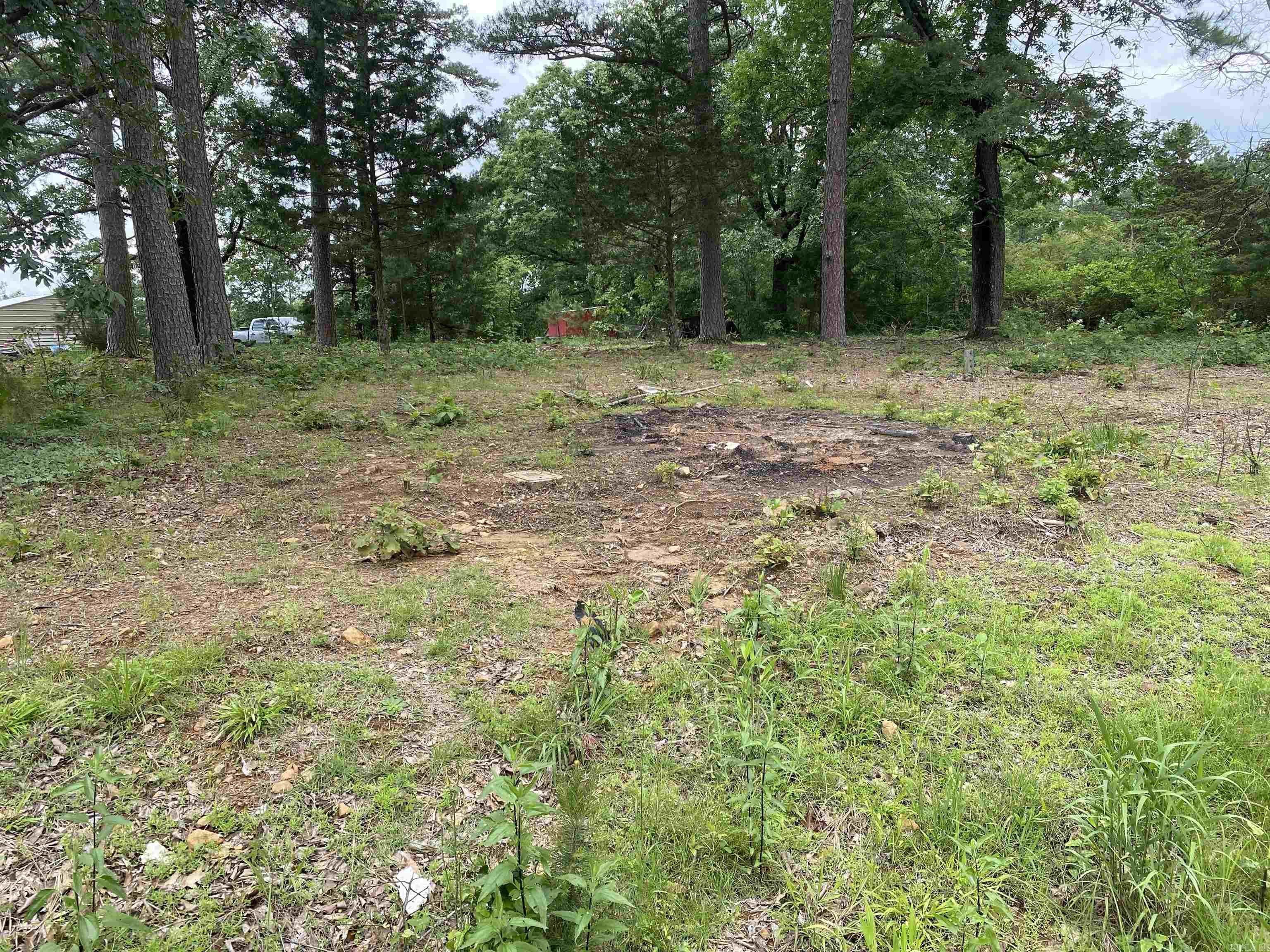 250  Irish Hills  Edgemont, AR