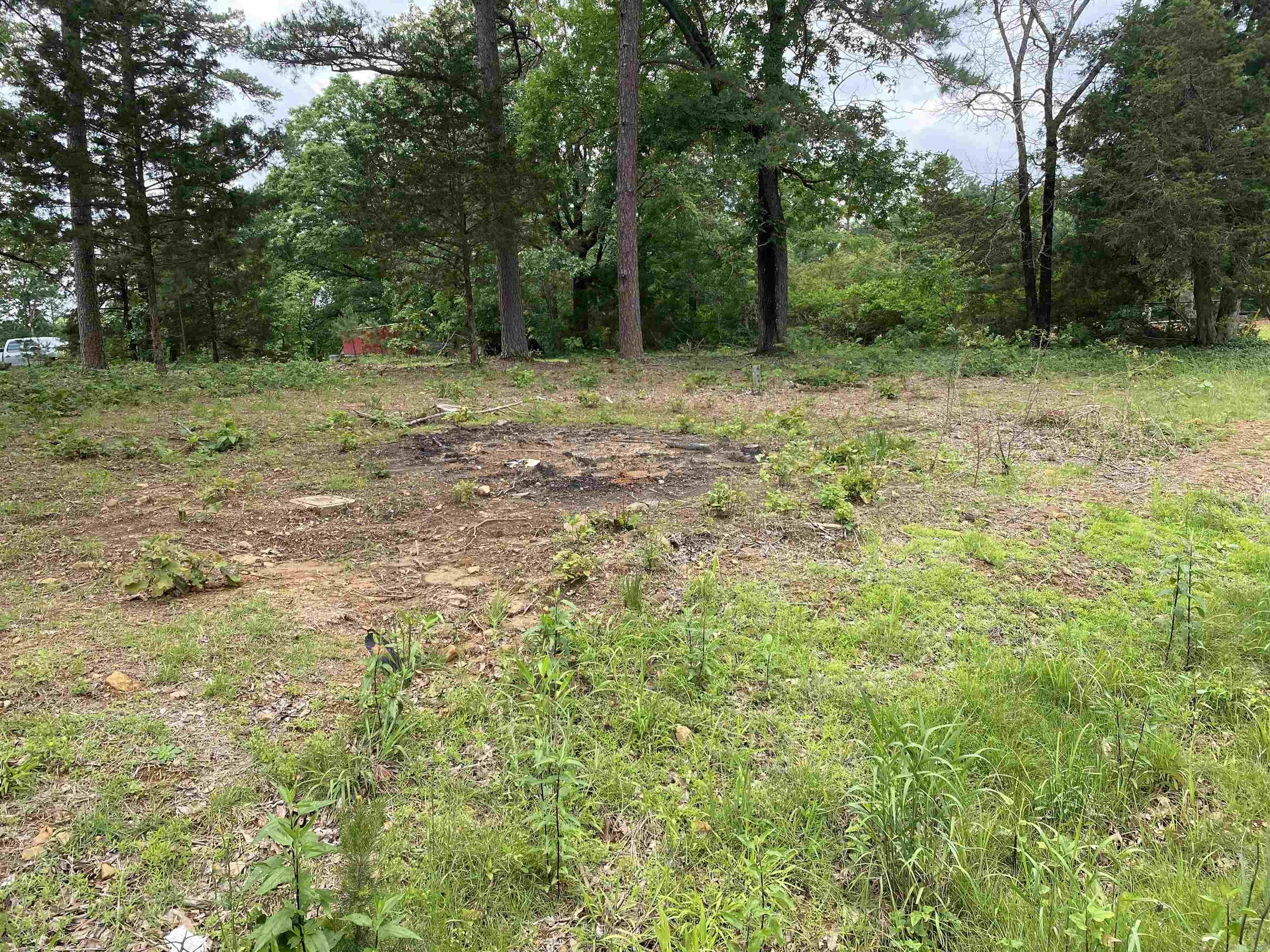 250  Irish Hills  Edgemont, AR
