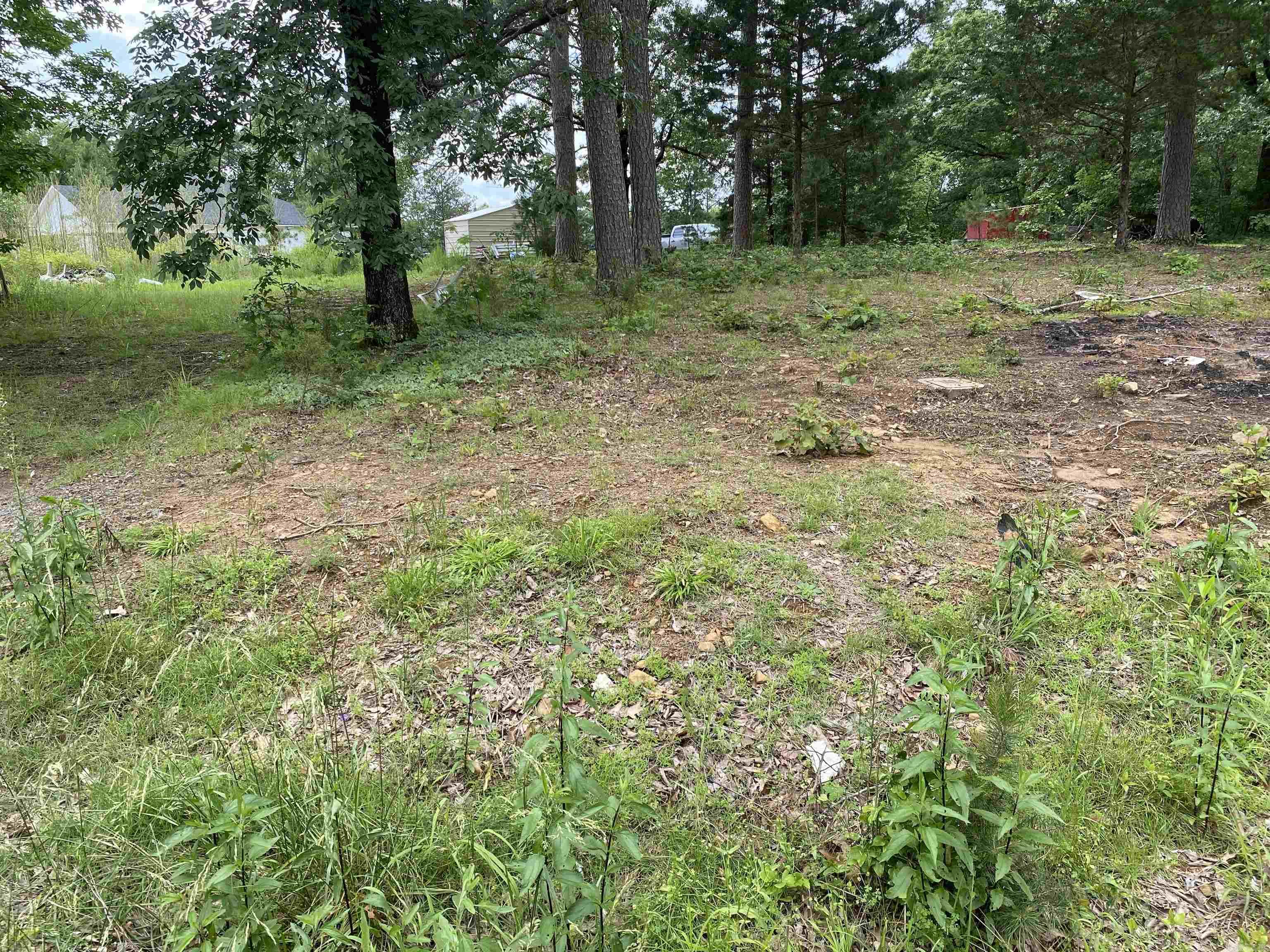 250  Irish Hills  Edgemont, AR