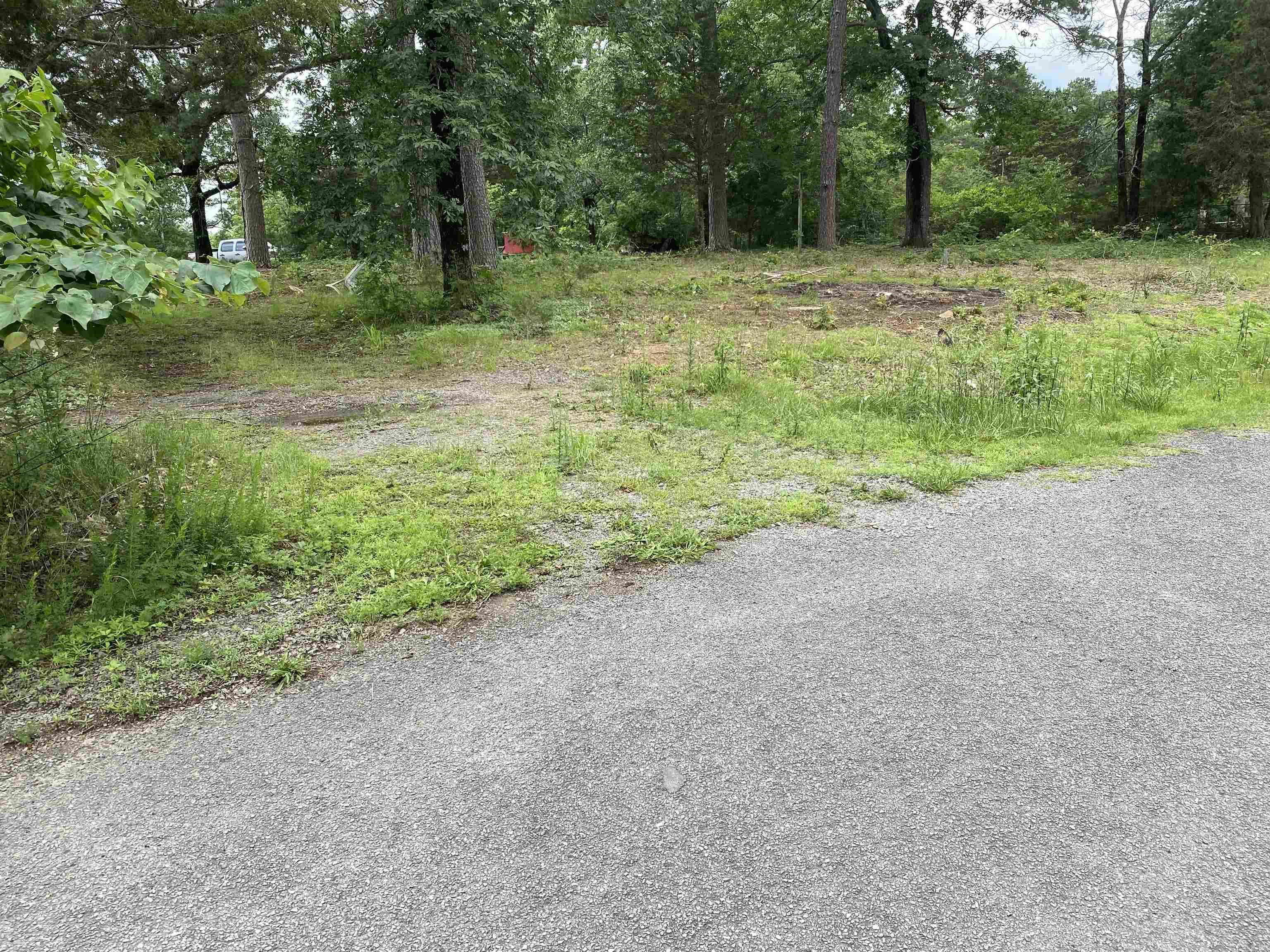 250  Irish Hills  Edgemont, AR