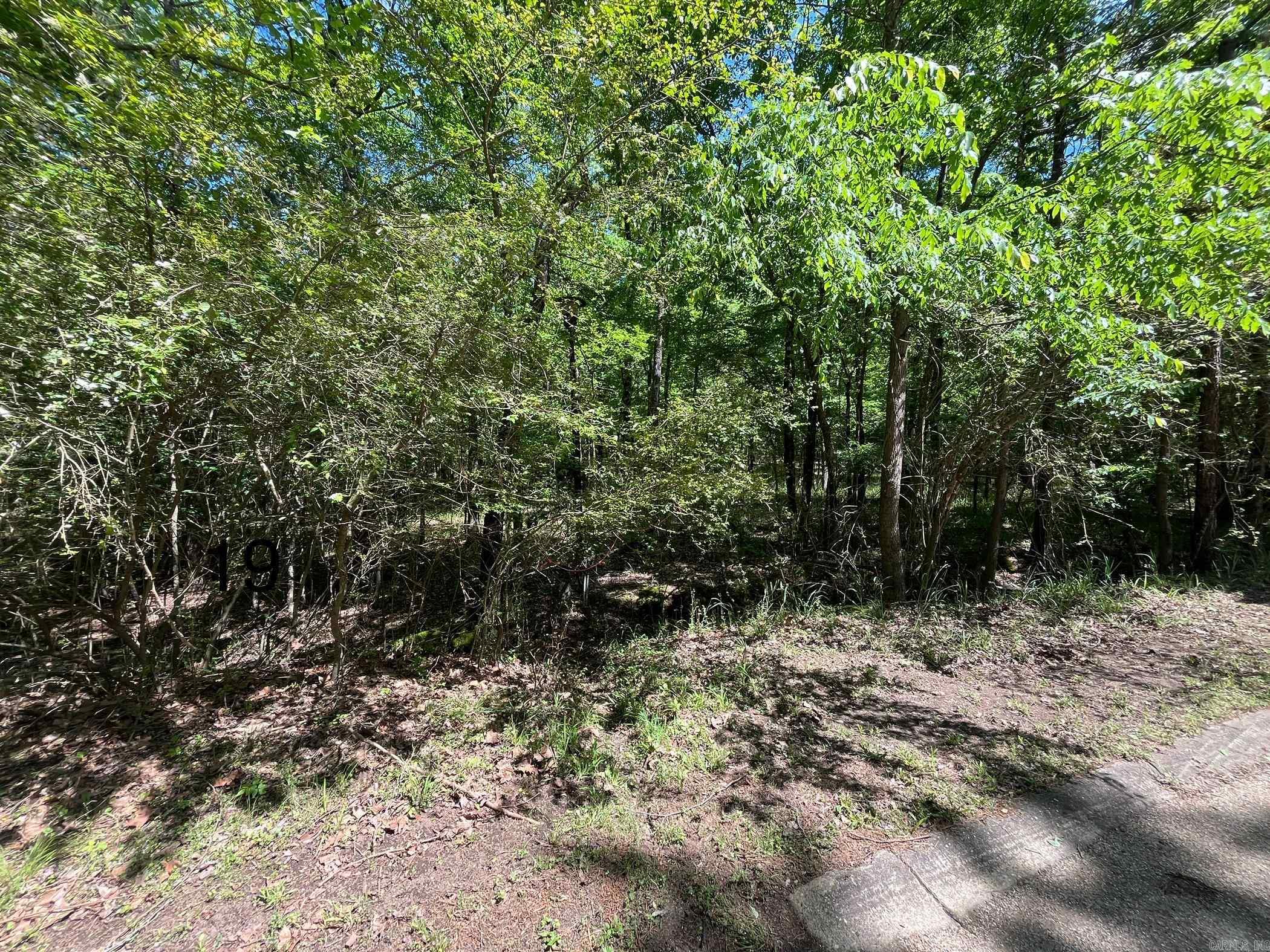 LOT 19  Waterview  Hot Springs, AR